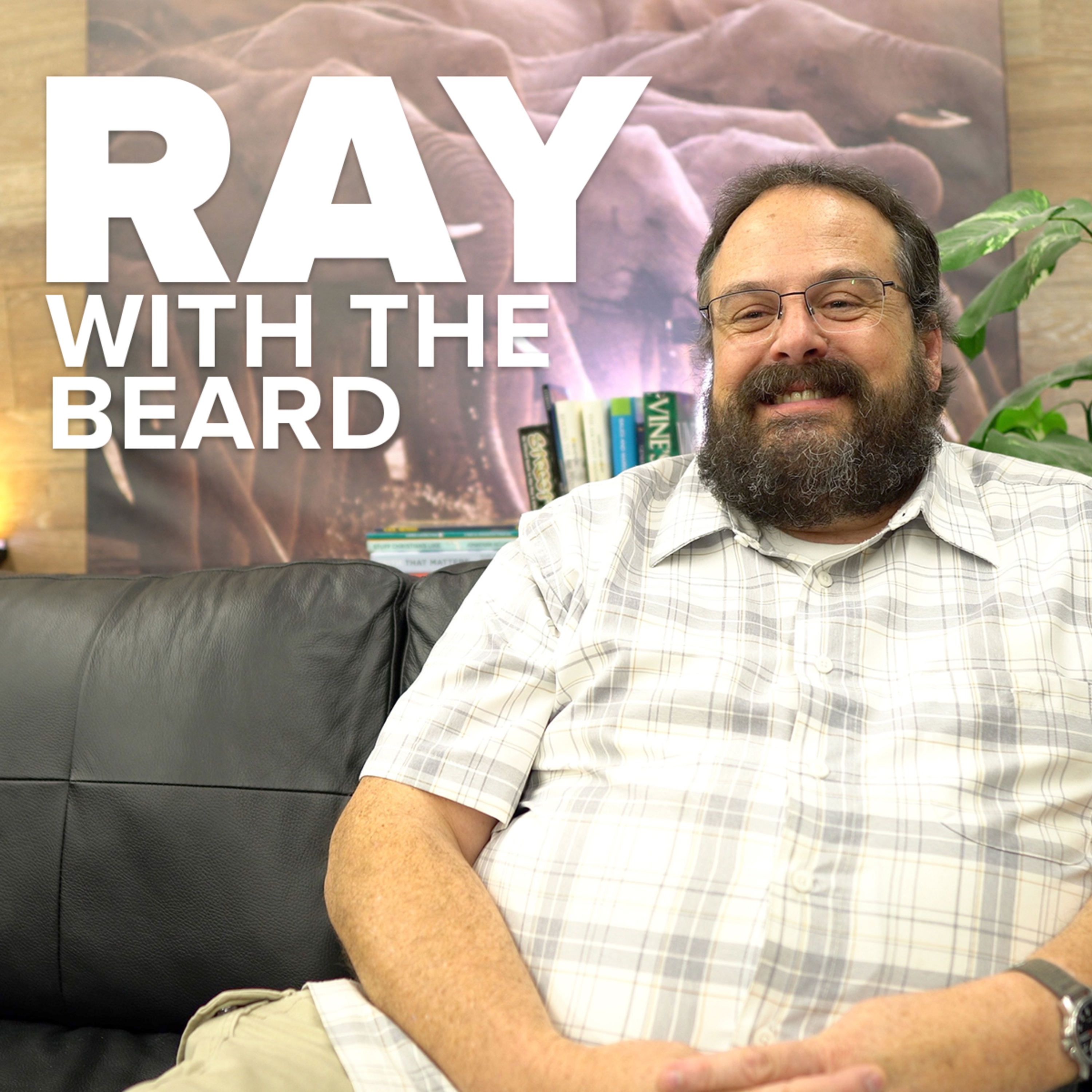 Ray with the Beard episode artwork