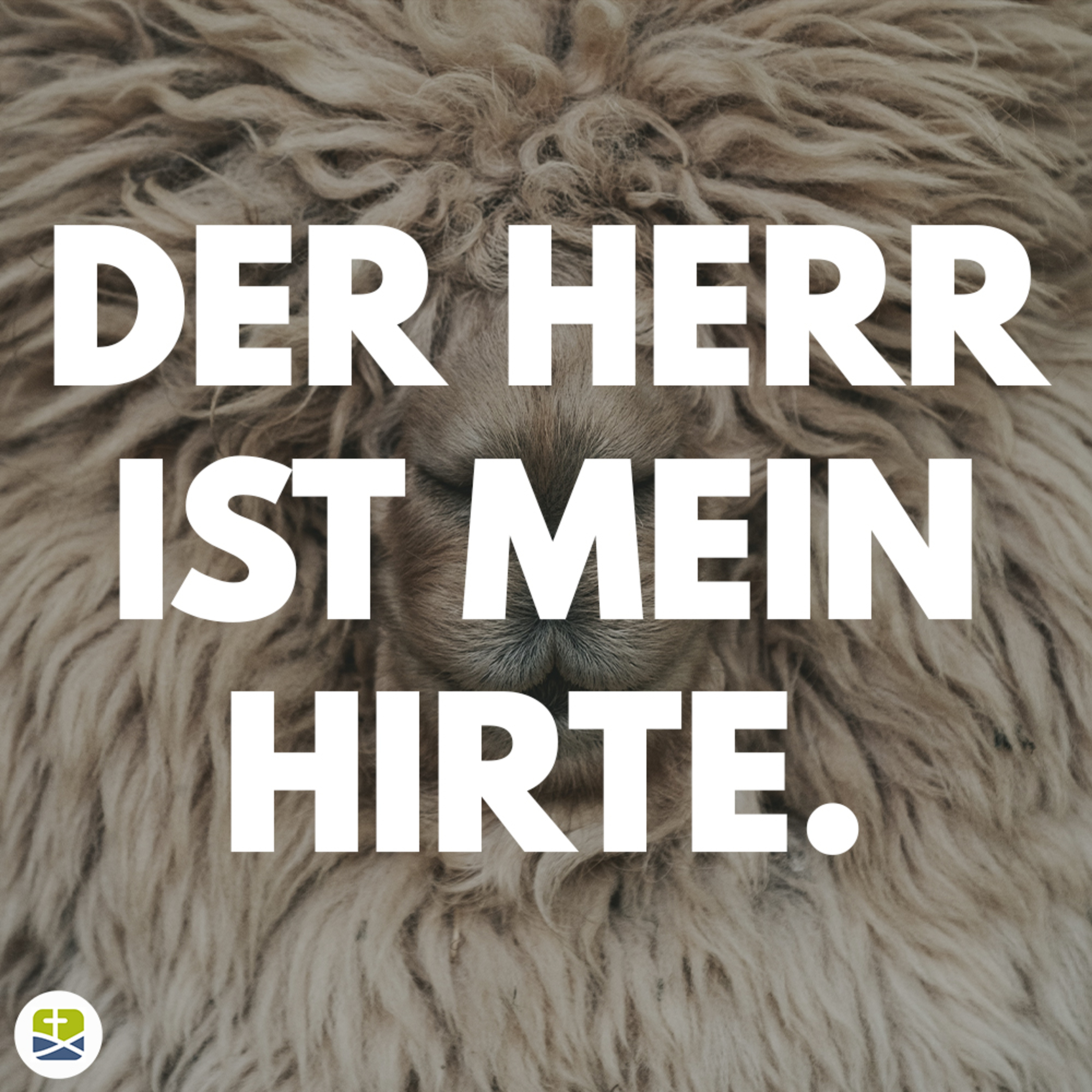 Der Herr ist mein Hirte (Psalm 23 - Daniel Pfeifer) episode artwork