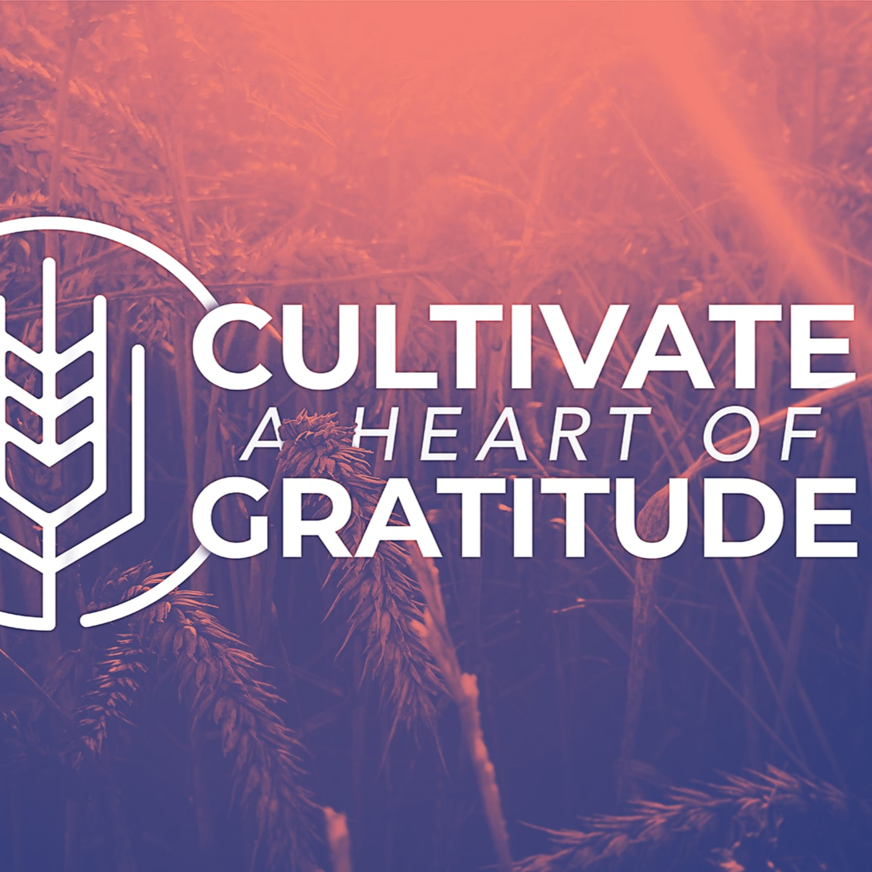 HOW WE CULTIVATE HEARTS OF GRATITUDE episode artwork