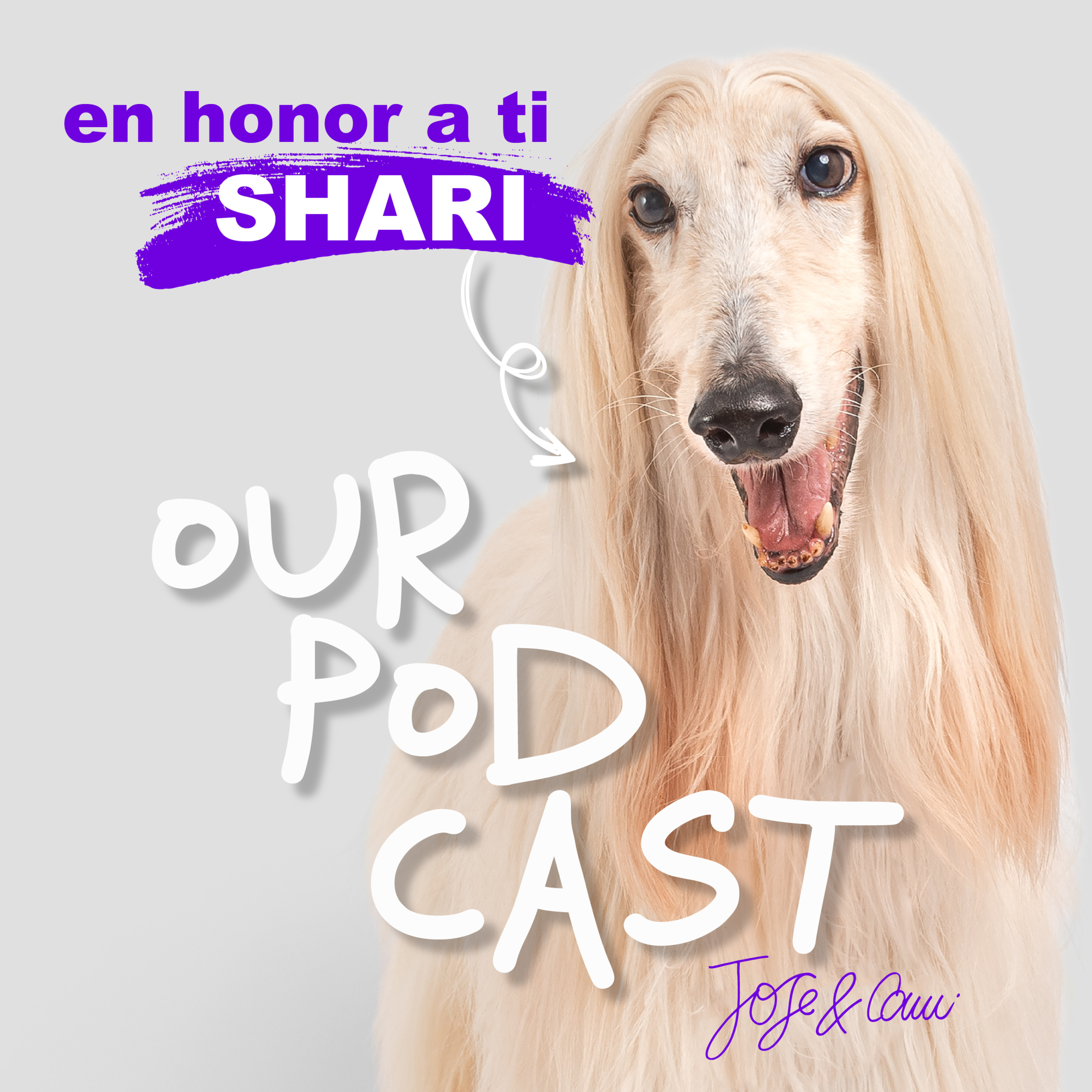 OurPodcast by Jose y Cami