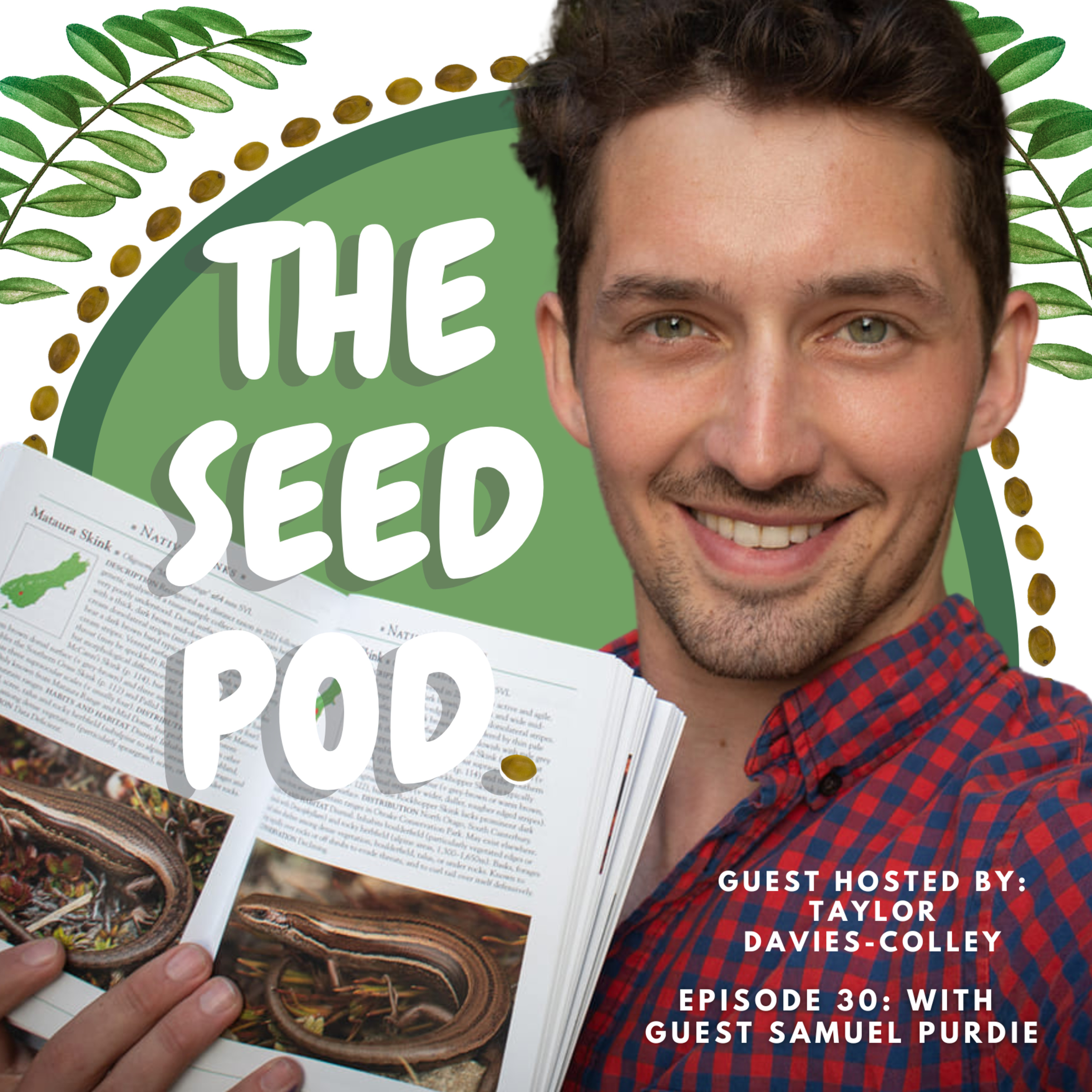 The Seed Pod.