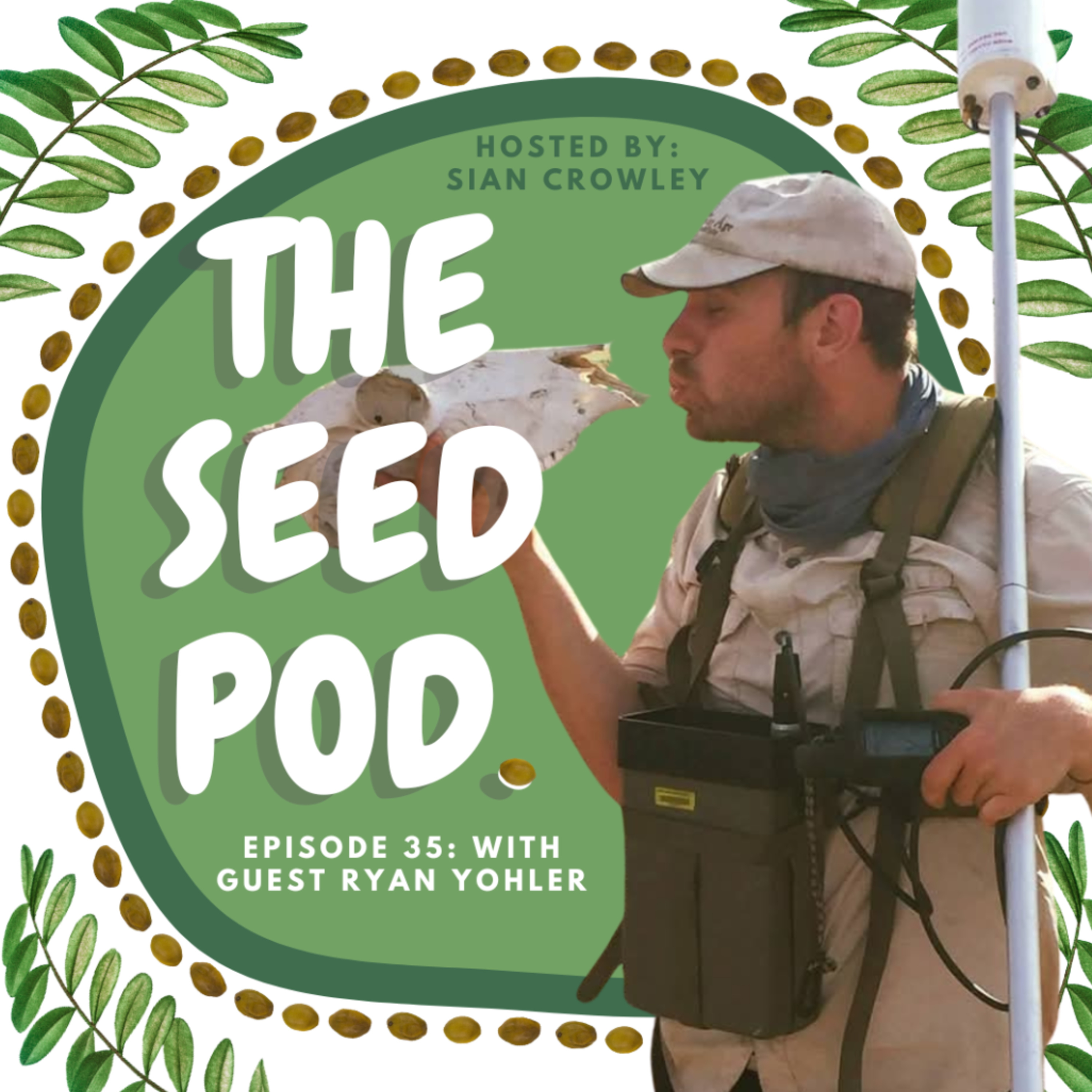 The Seed Pod.