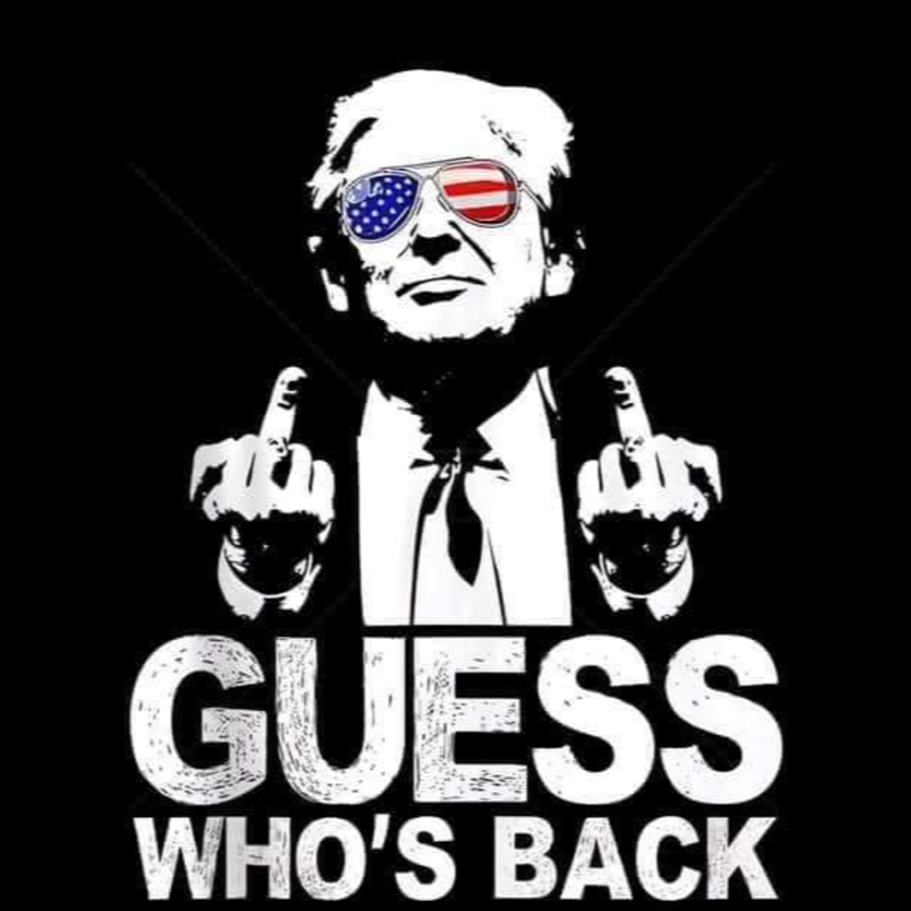 Trump wins Trump wins! episode artwork