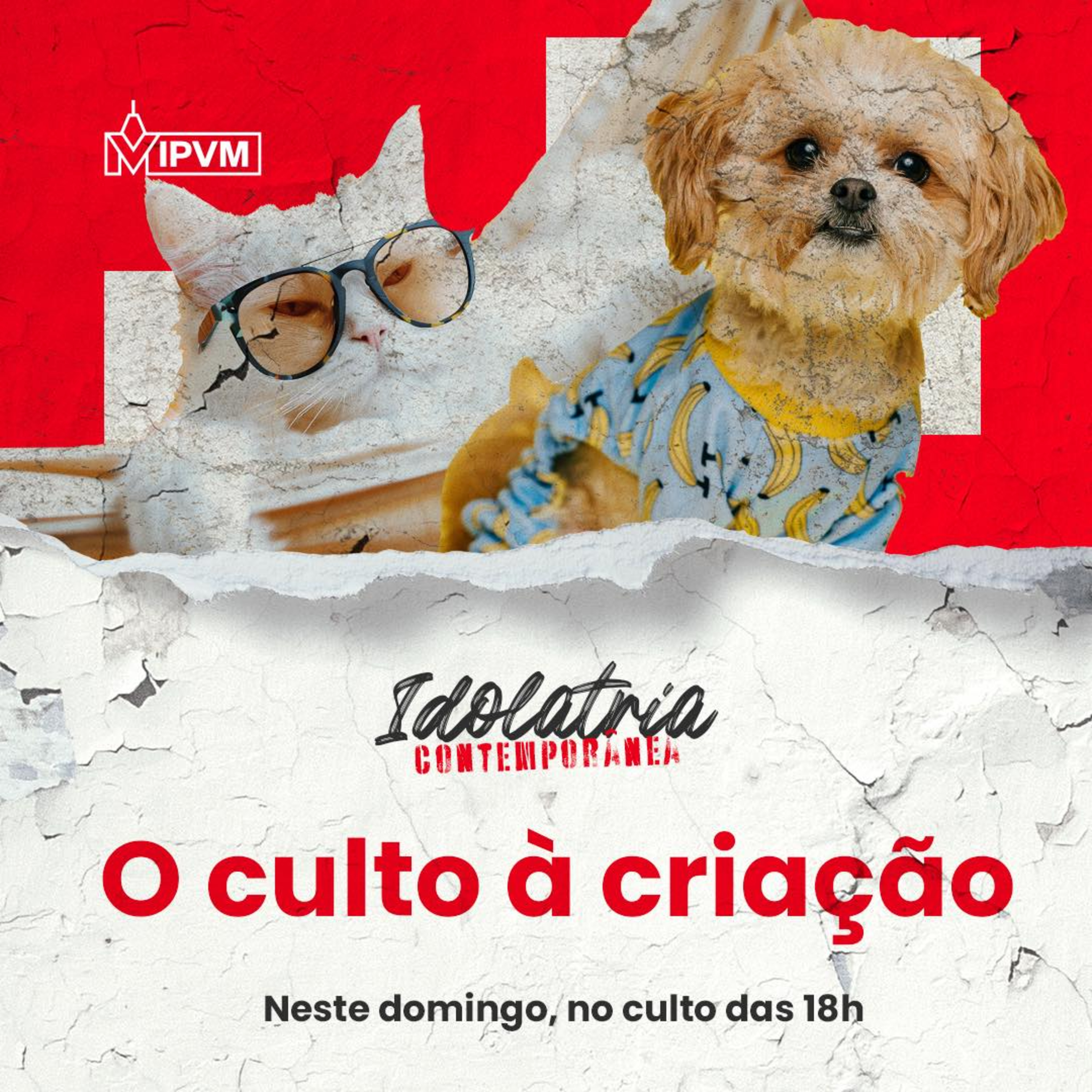 Série Idolatria Contemporânea - O culto à criação - Rev. Gustavo Bacha episode artwork