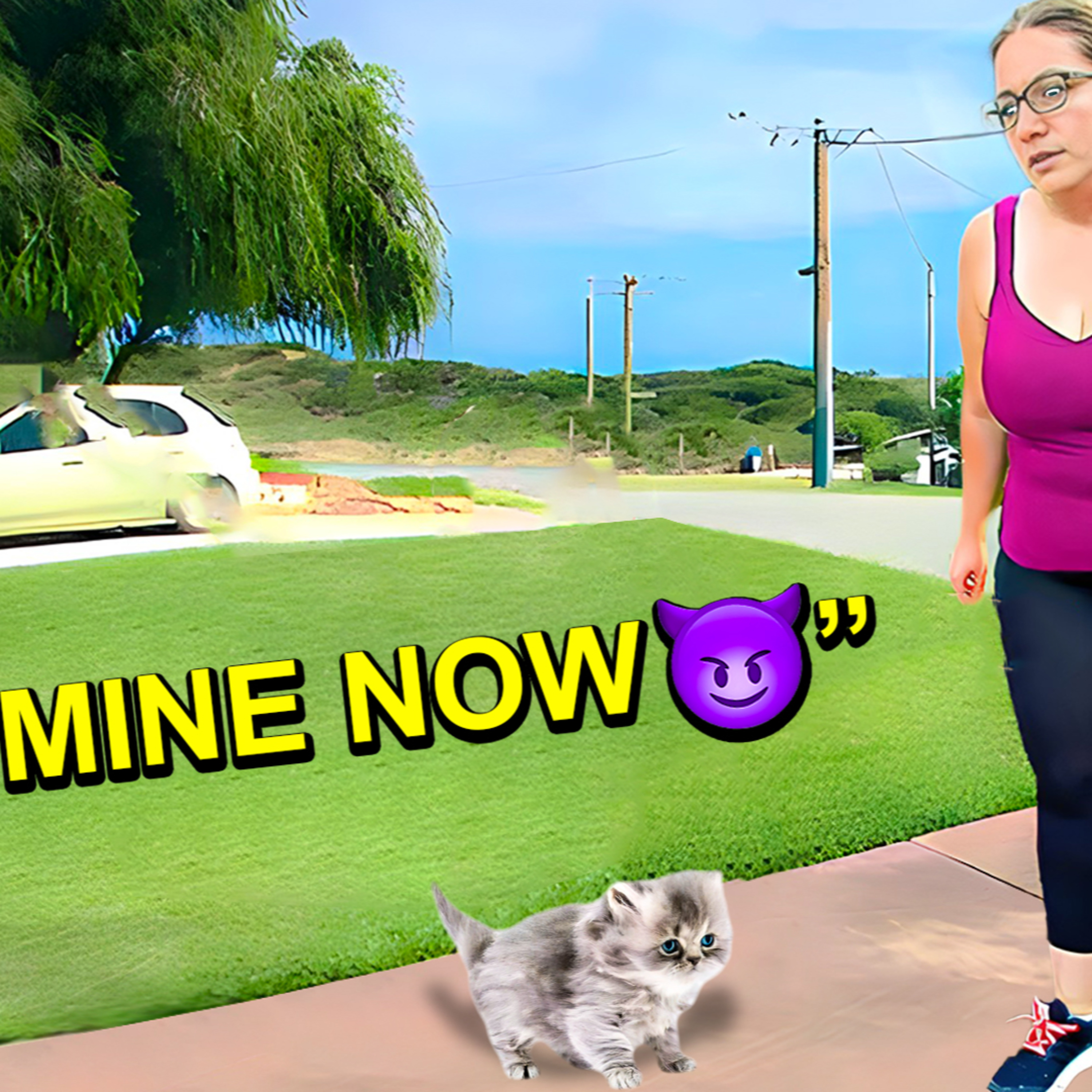 When A Karen Finds A Cat. episode artwork