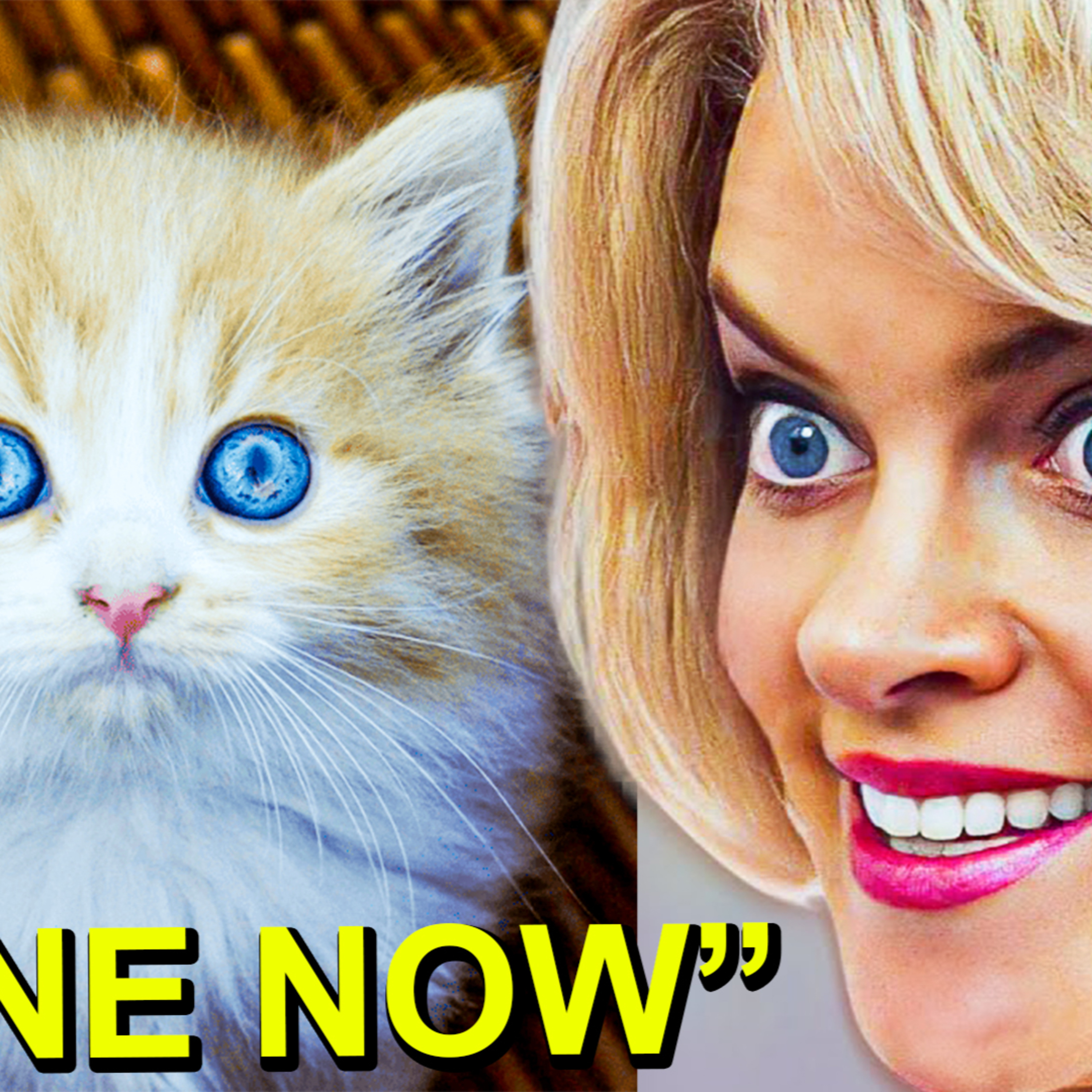Karen STOLE MY CAT! episode artwork