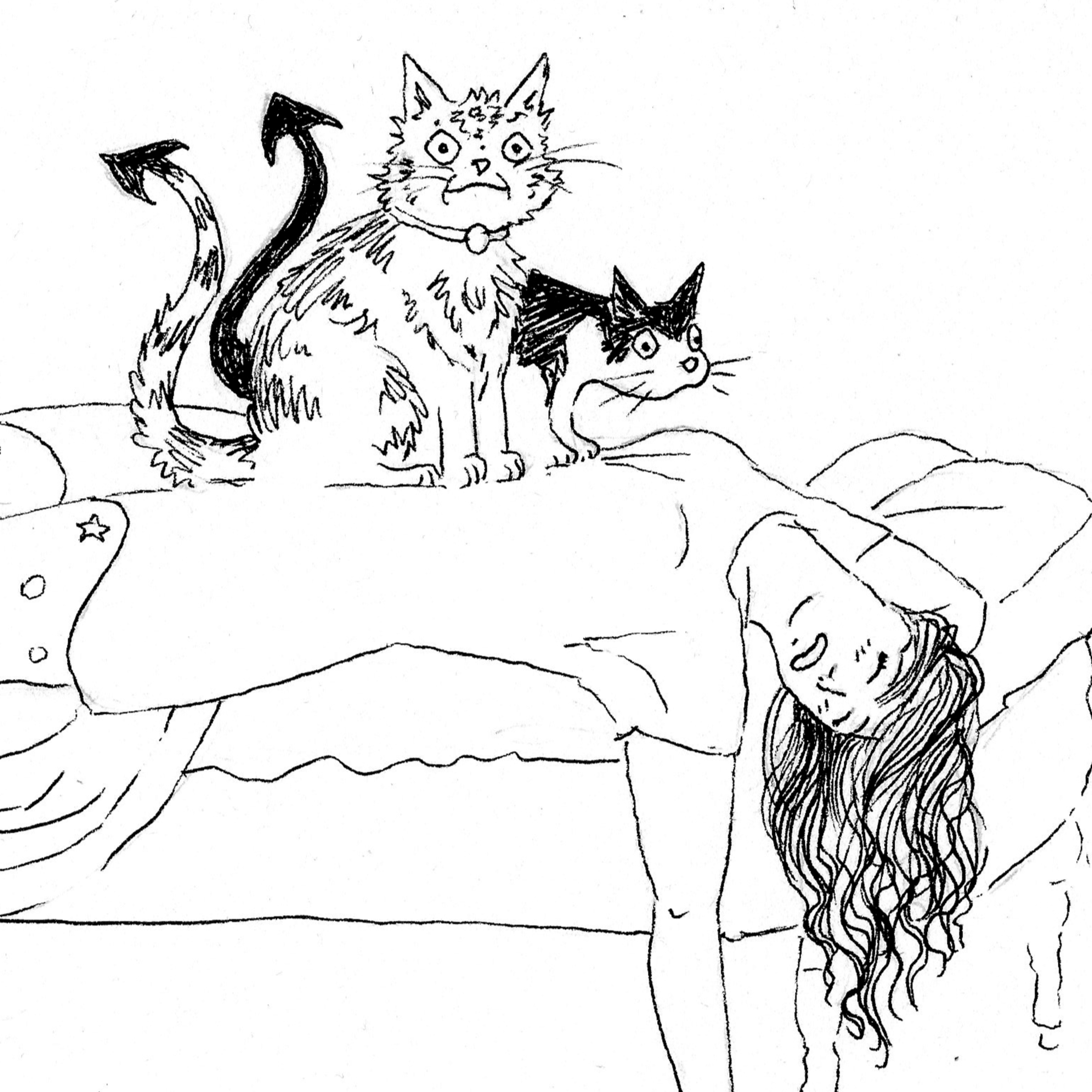Sinsomnia
