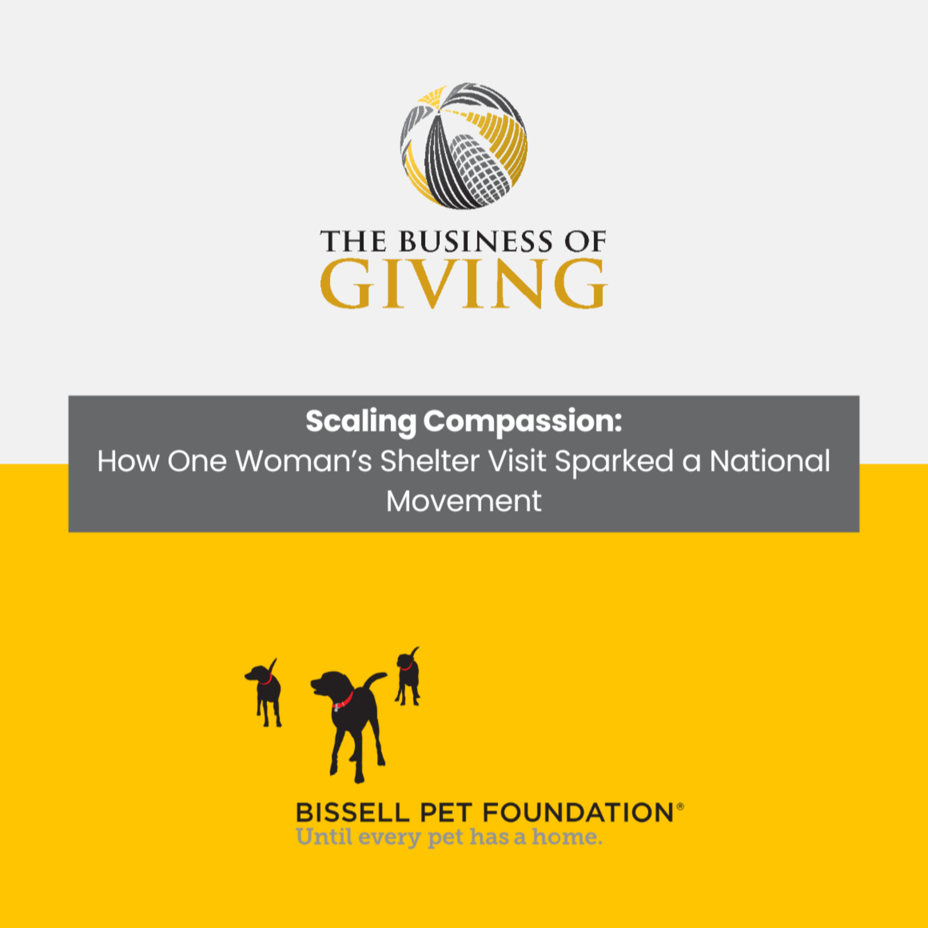 Scaling Compassion: How One Woman’s Shelter Visit Sparked a National Movement episode artwork