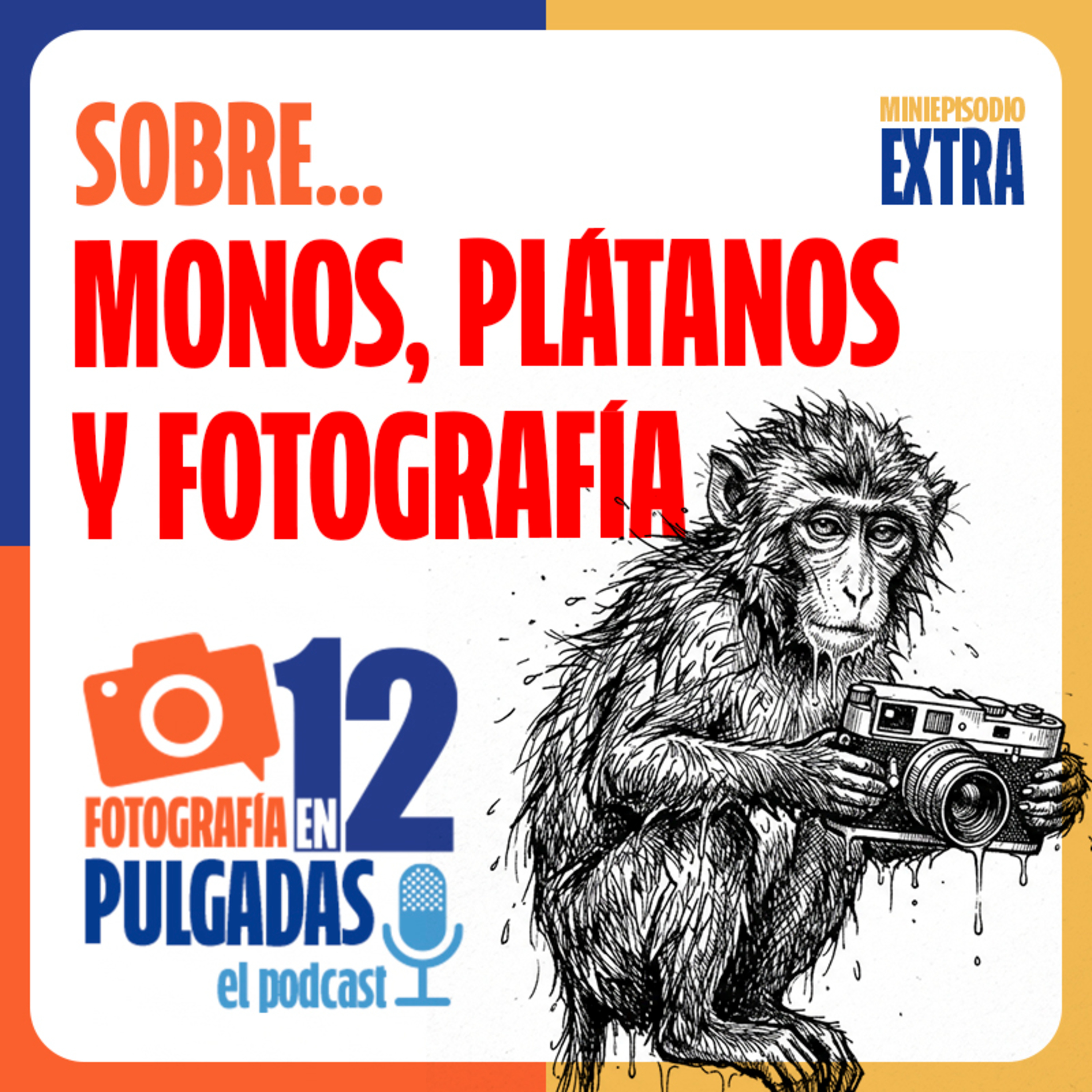 Monos, Plátanos y Fotografía (mini episodio 3) episode artwork