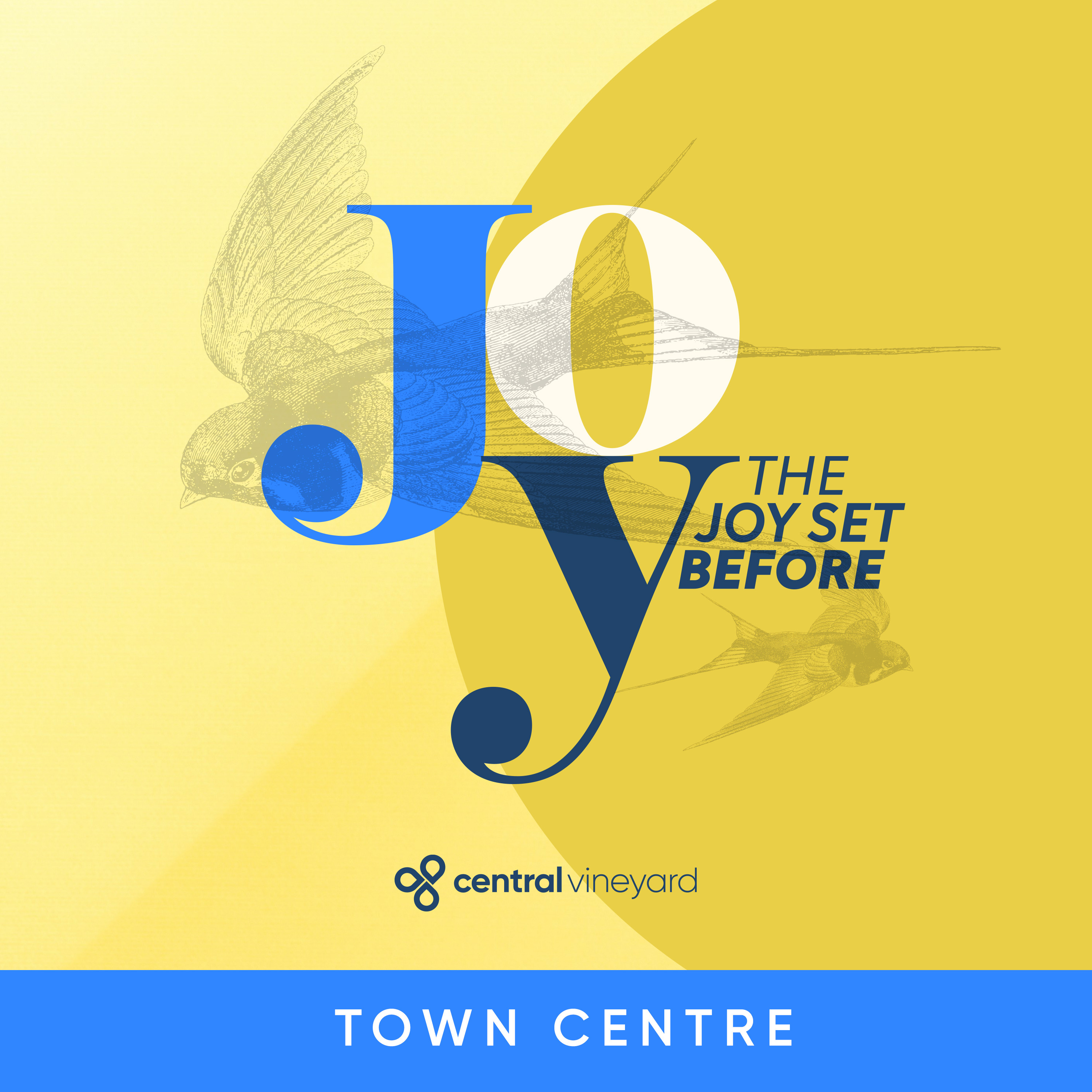 TOWN CENTRE // The Joy Set Before // Pt.3 // The Power episode artwork