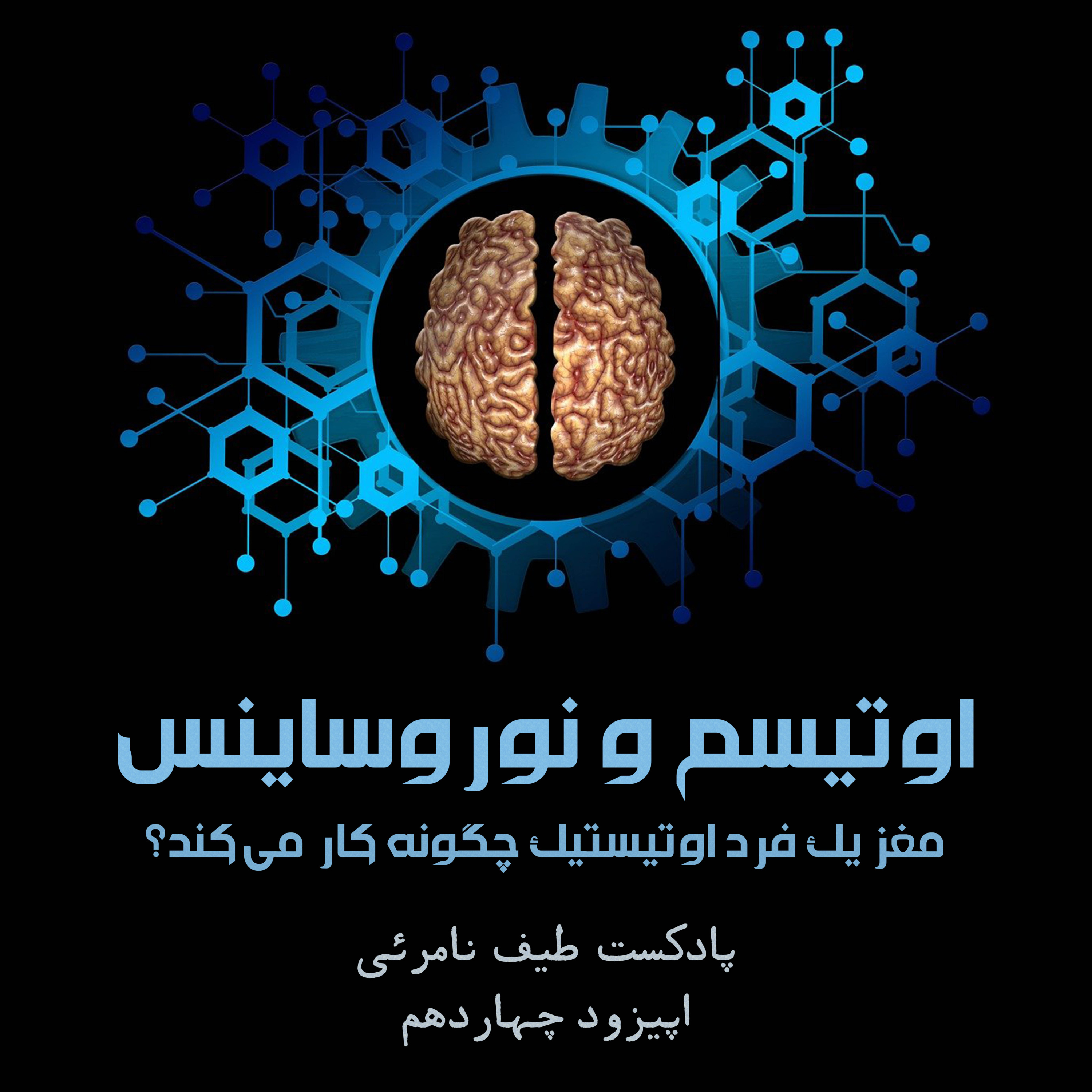 کاور اپیزود چهاردهم - اوتیسم و نوروساینس؛ مغز یک فرد اوتیستیک چگونه کار میکند؟