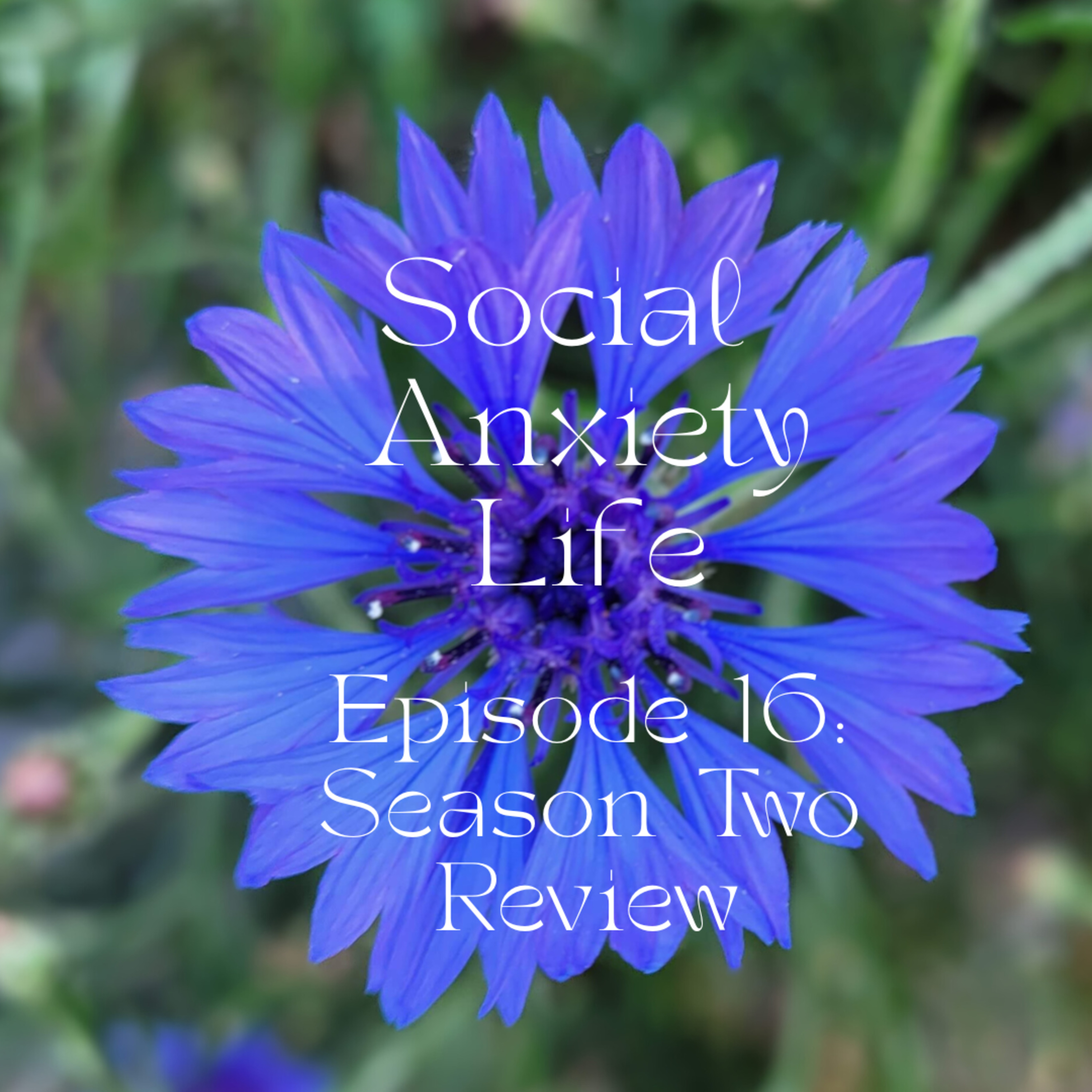 Social Anxiety Life with Sarah and Simon