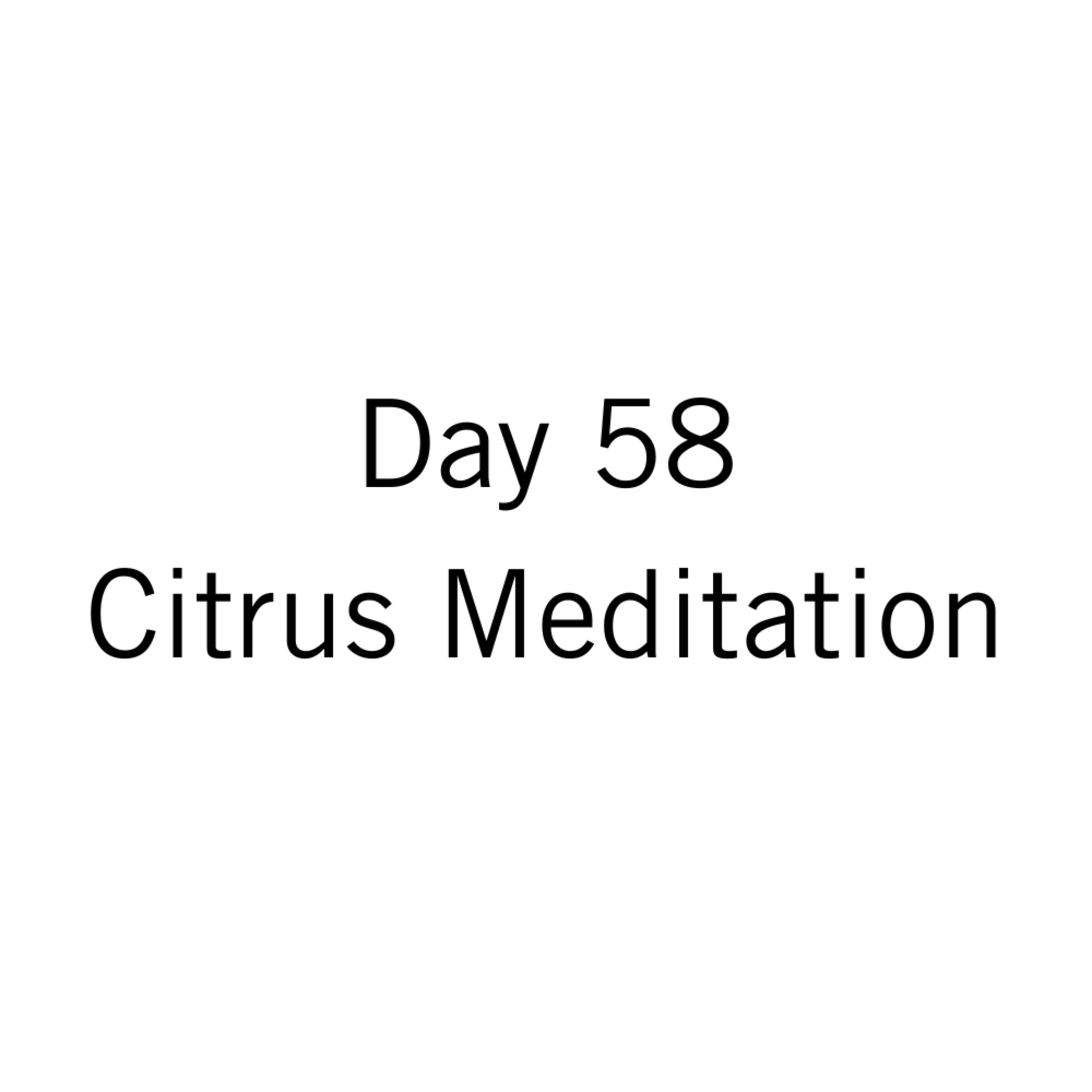 Day 58: Citrus Meditation