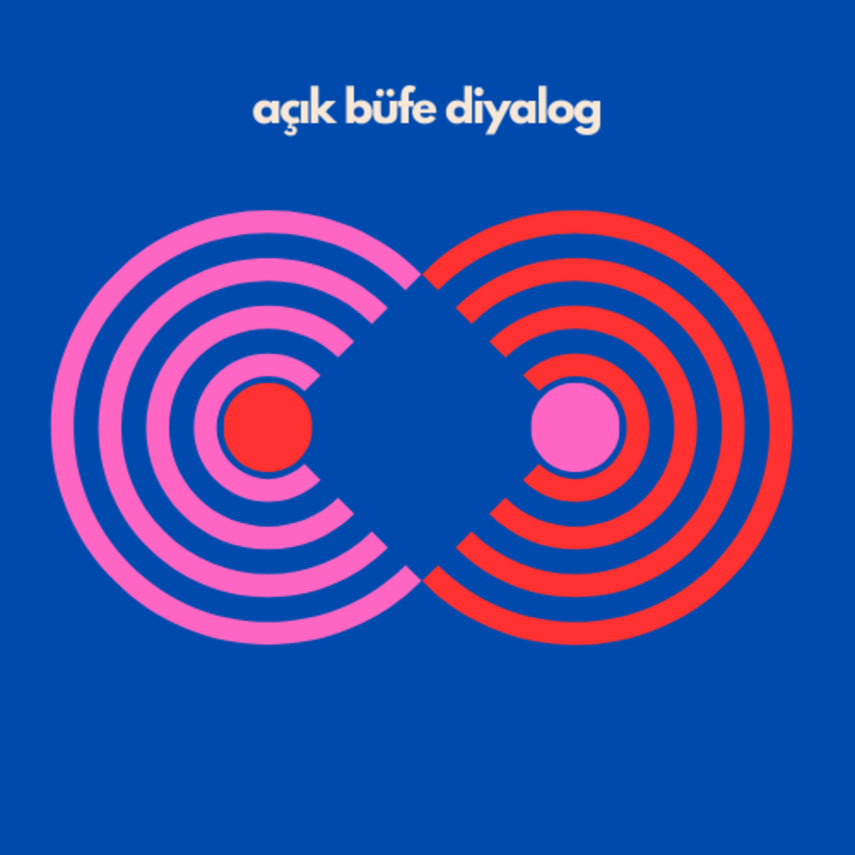 Anti-Entelektüelizm: Dümdüz Adamın Felsefesi episode artwork