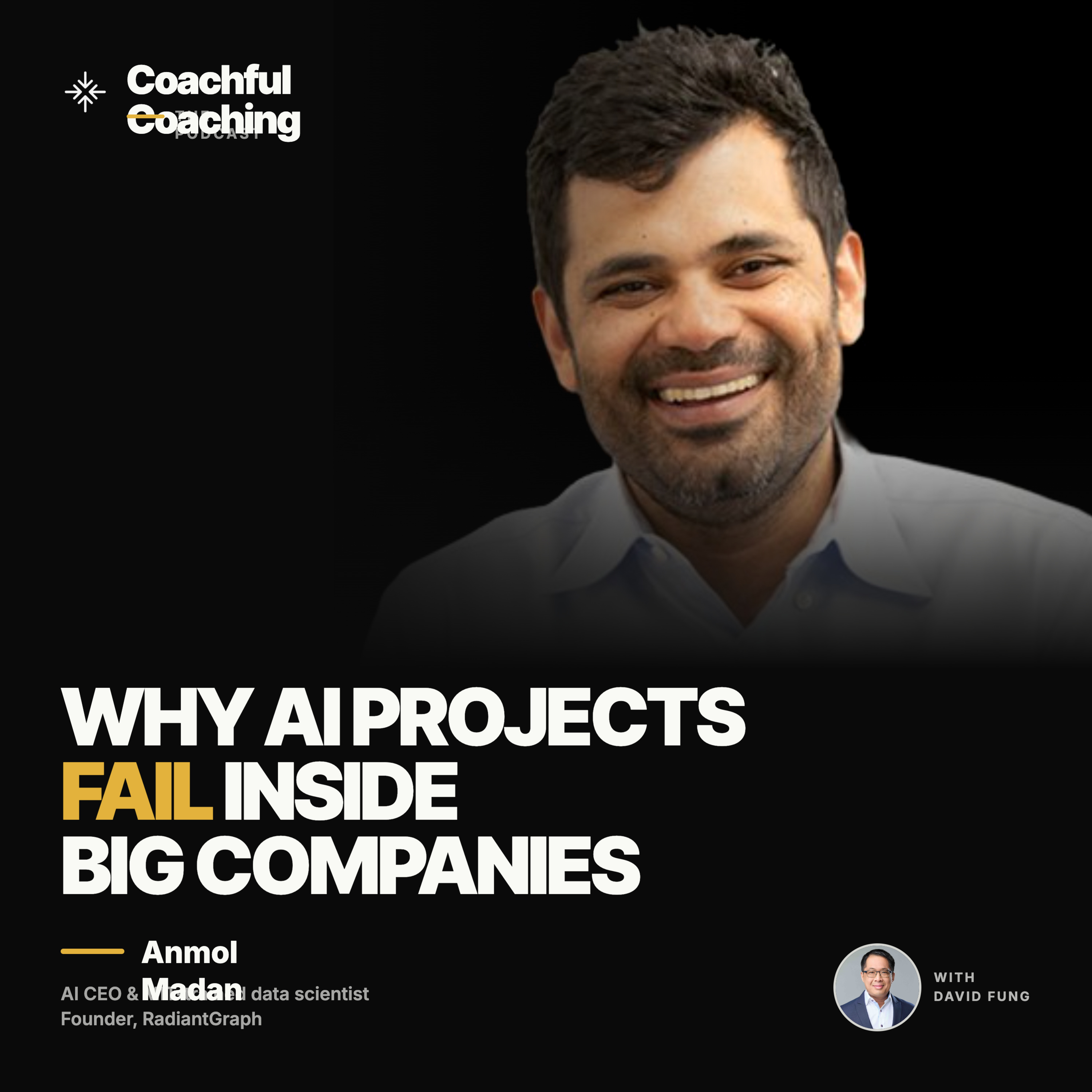 Why AI Projects Fail Inside Big Companies | Anmol Madan, AI CEO & MIT-Trained Data Scientist episode artwork