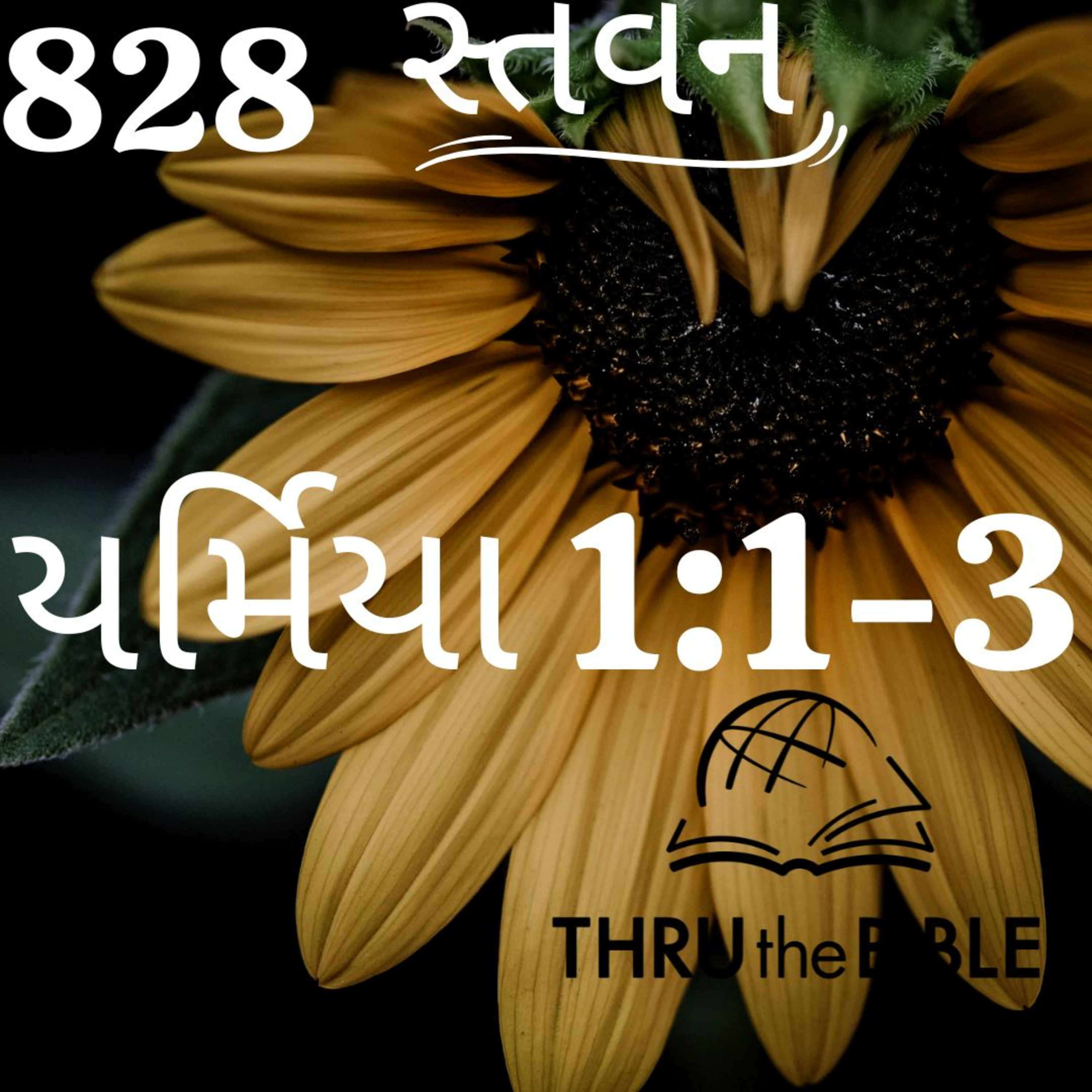 Stavan Gujarati Bible Study
