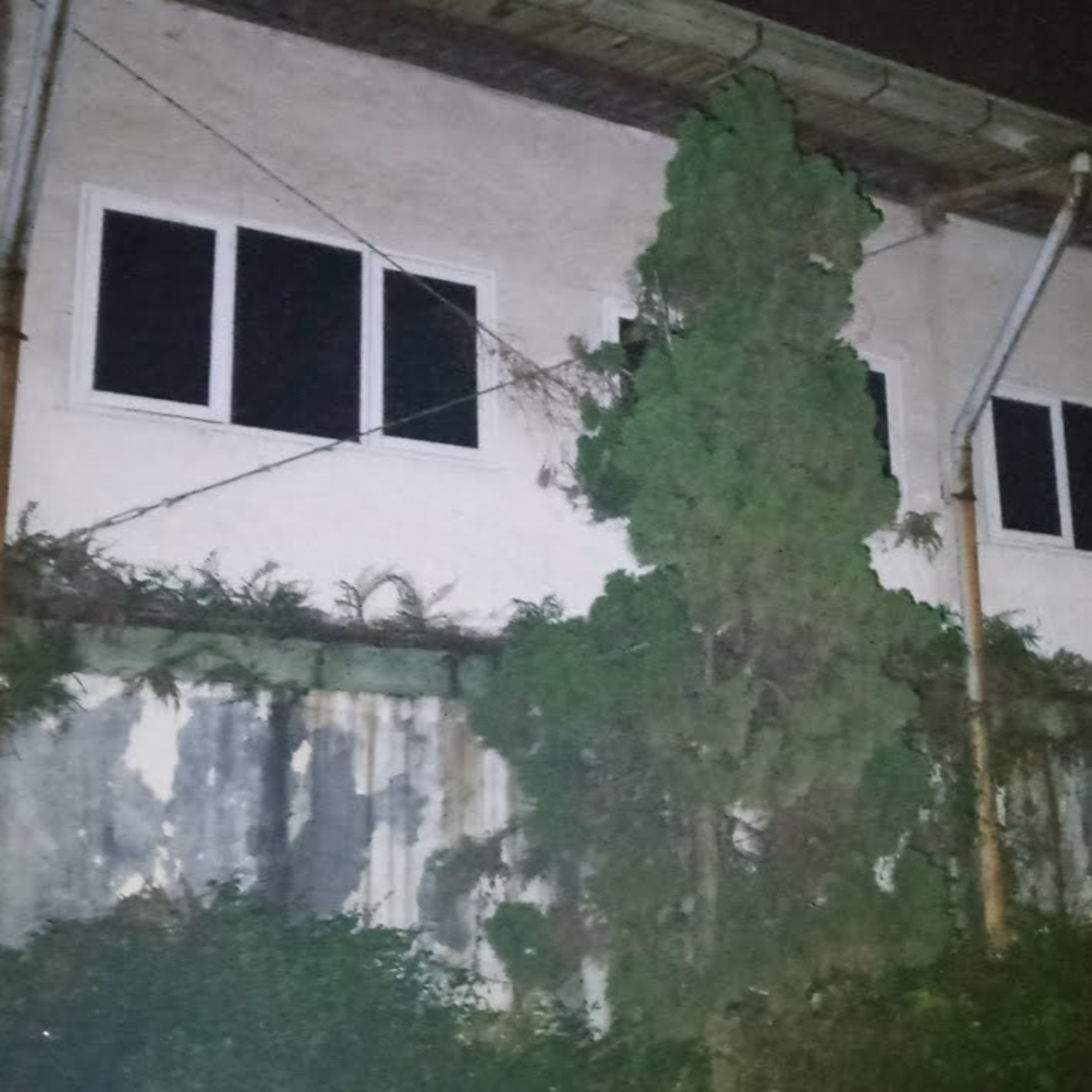 Eky Dwi A