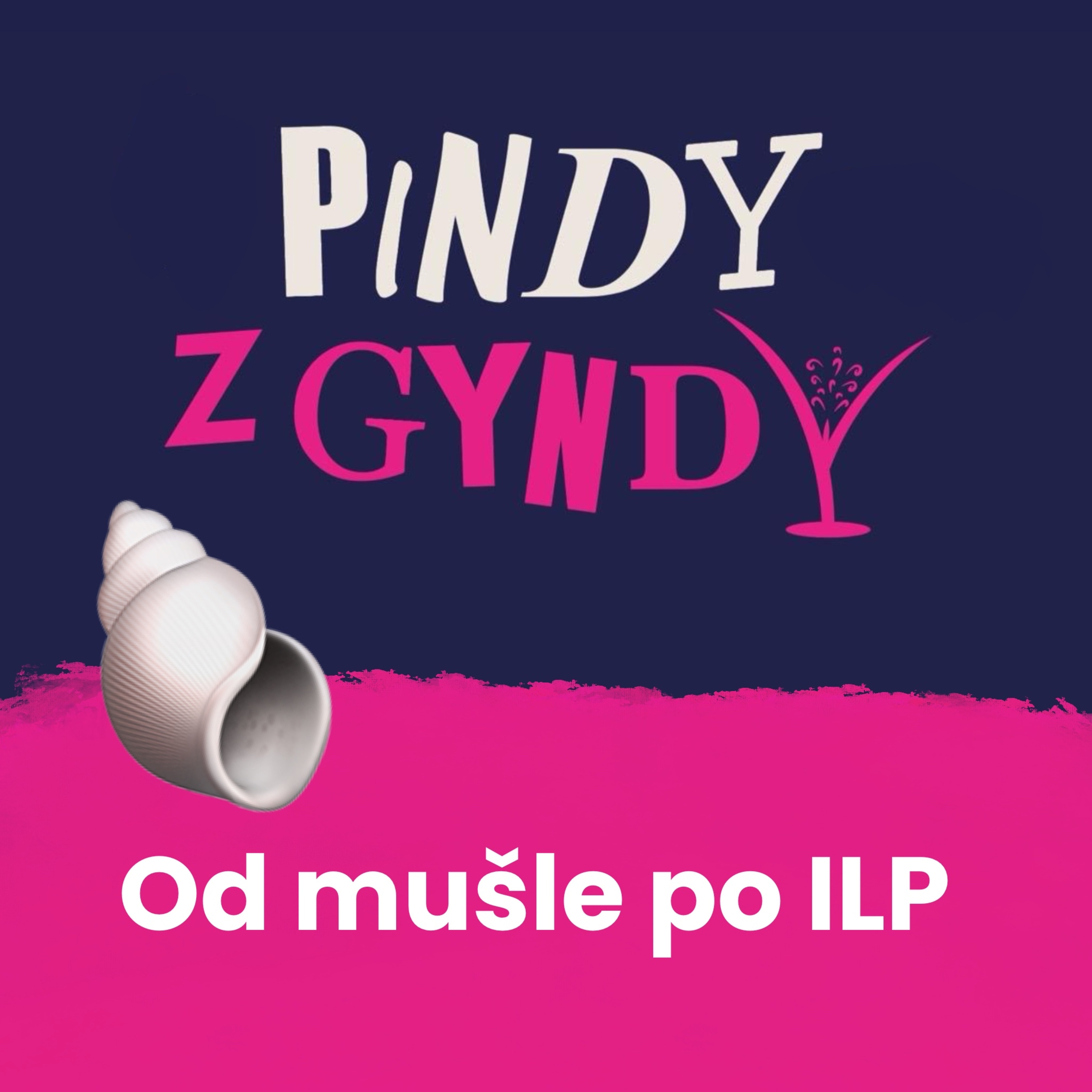 Od mušle po IPL