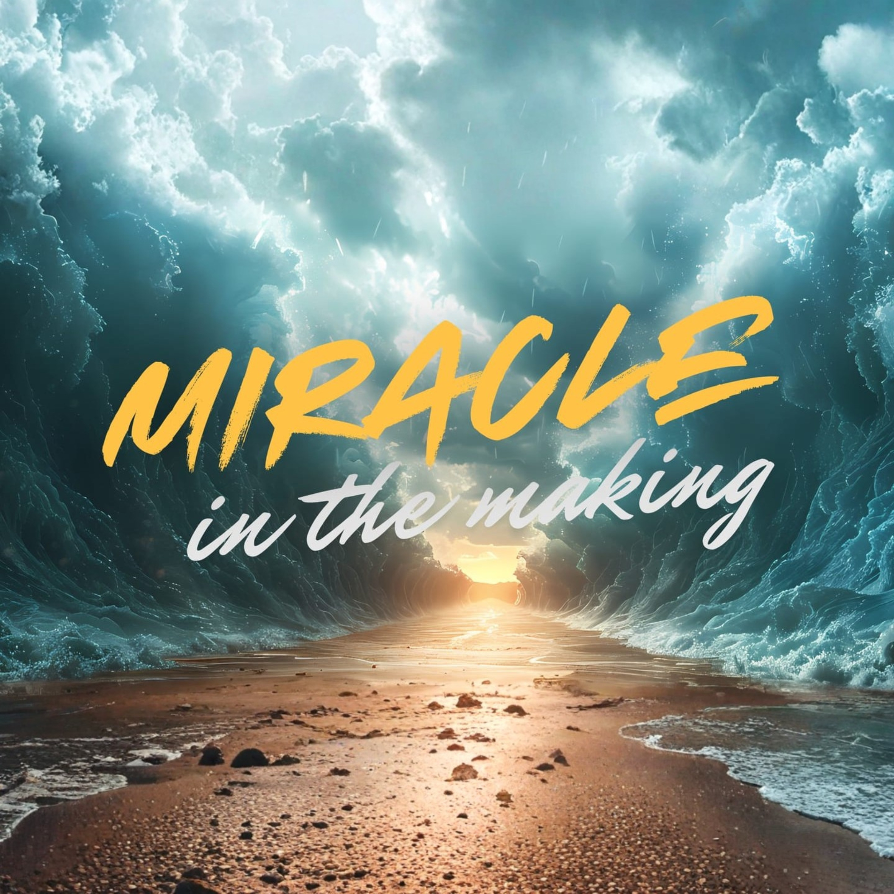 Miracle in the Making