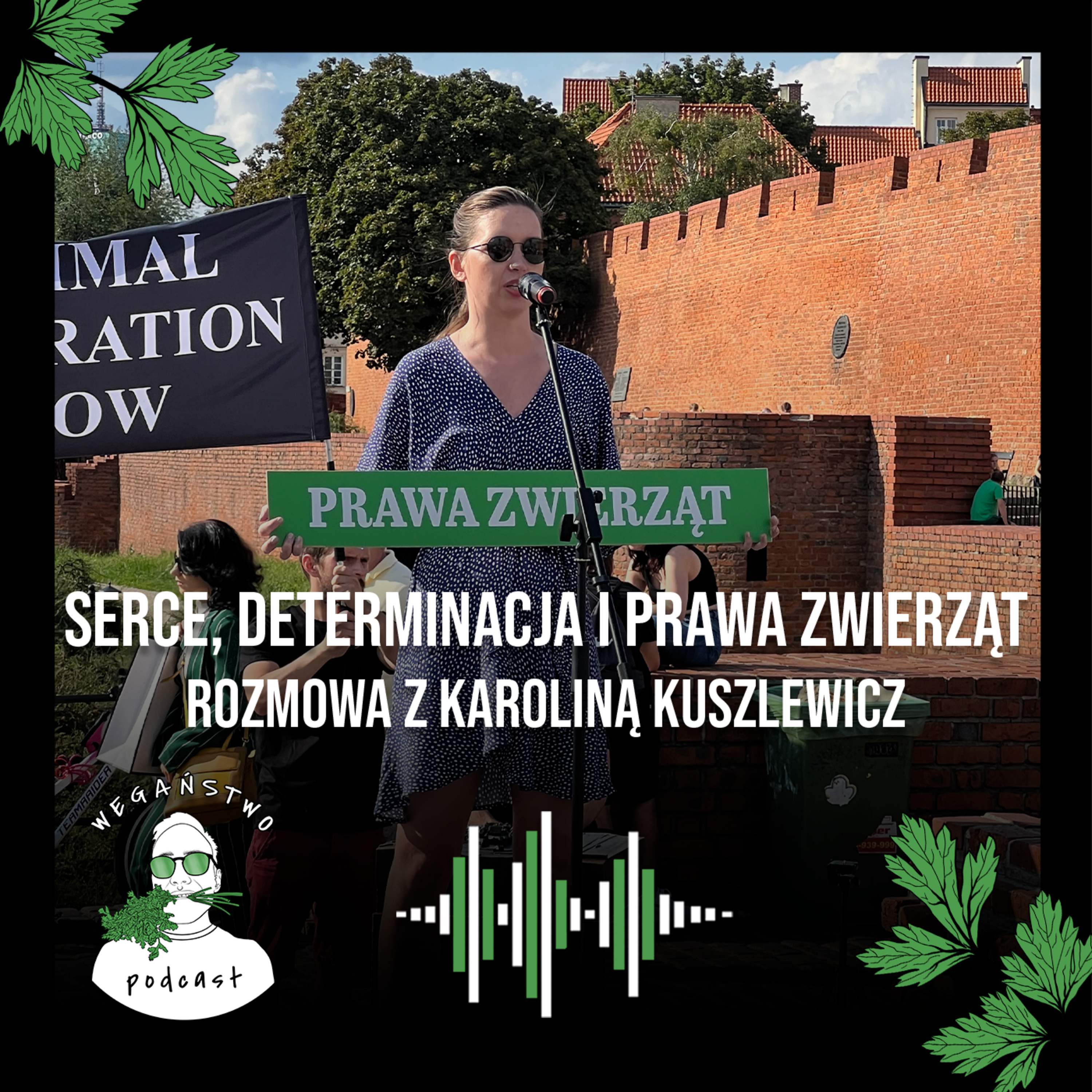 Wegaństwo