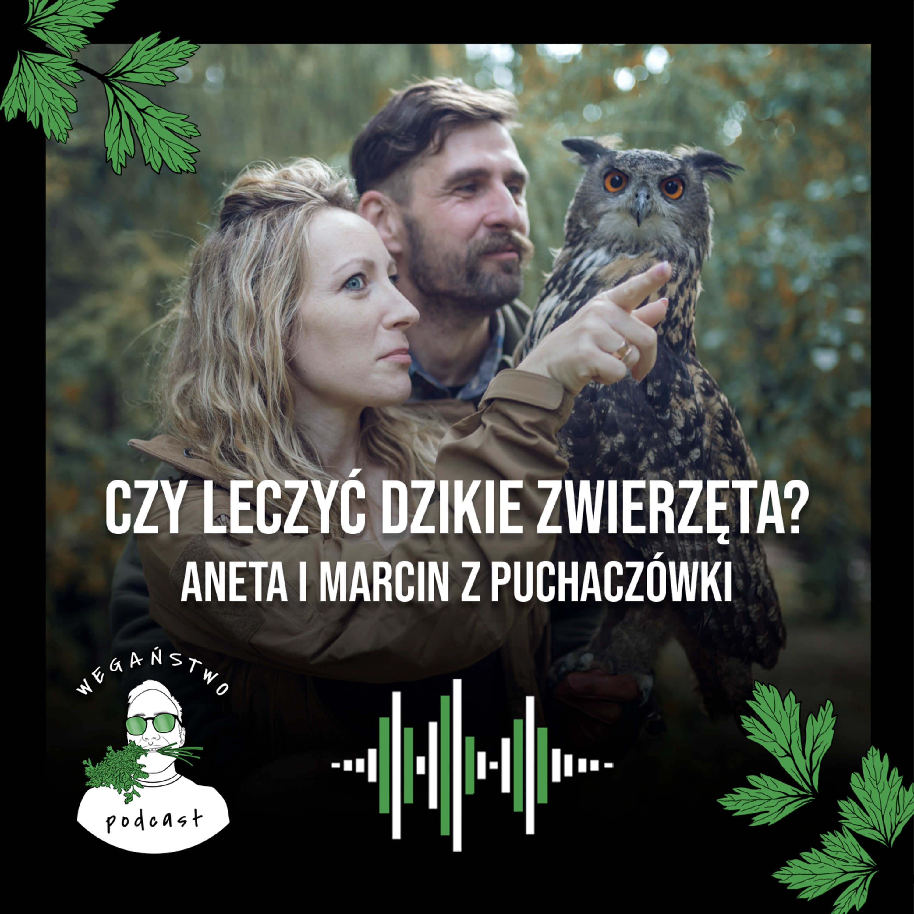 Wegaństwo