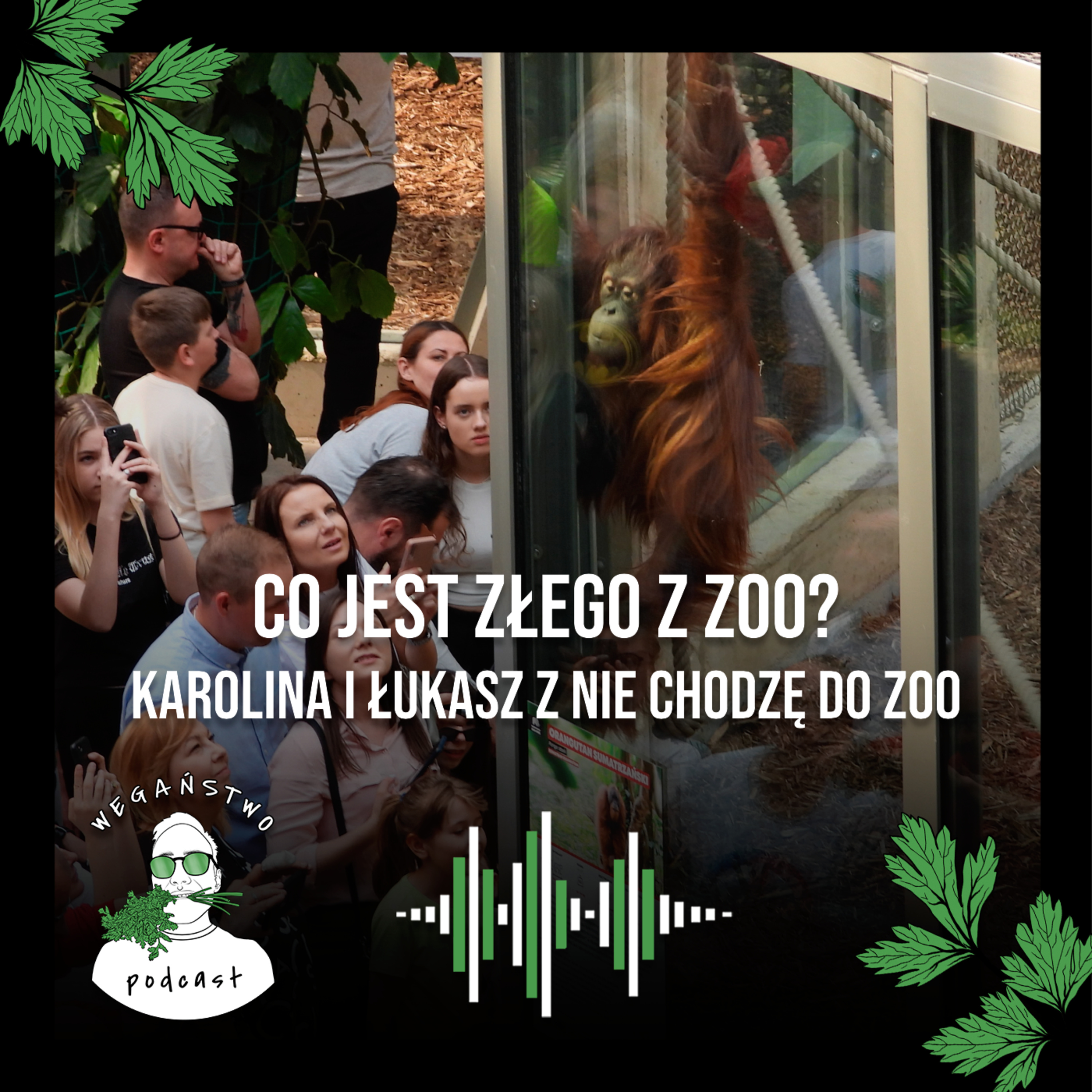 Wegaństwo
