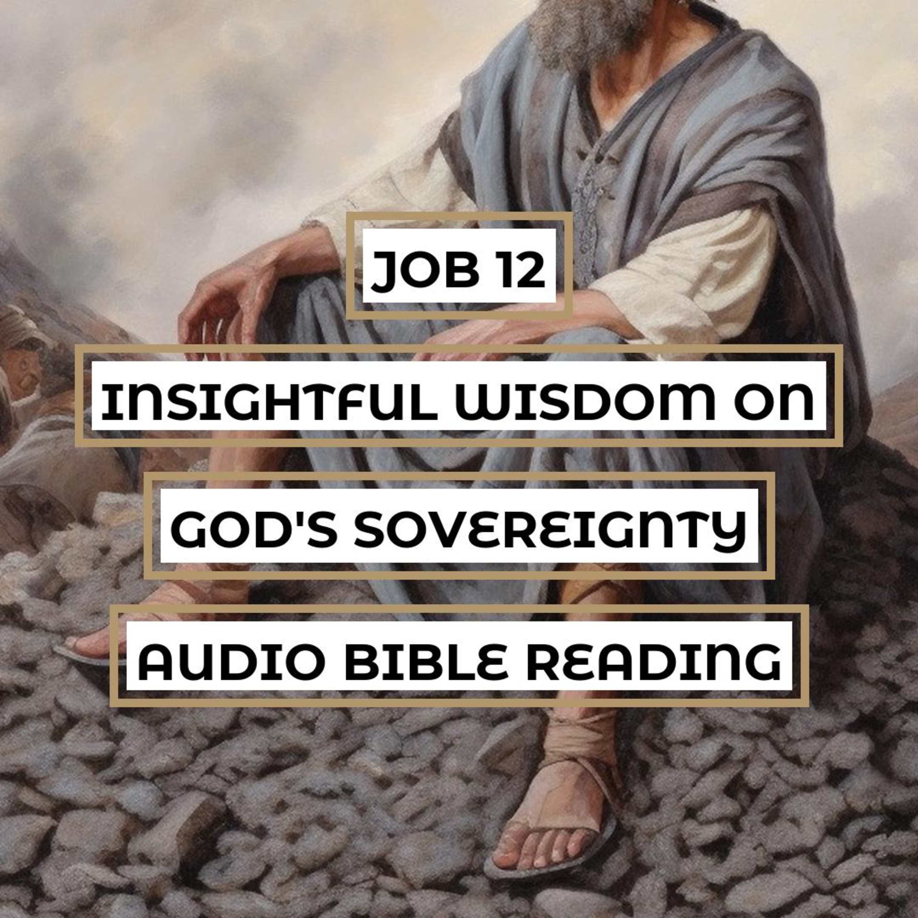 Job 12: Insightful Wisdom on God's Sovereignty - Clear & Engaging Audio Bible Reading | Understanding God's Power, Knowledge, and Justice episode artwork