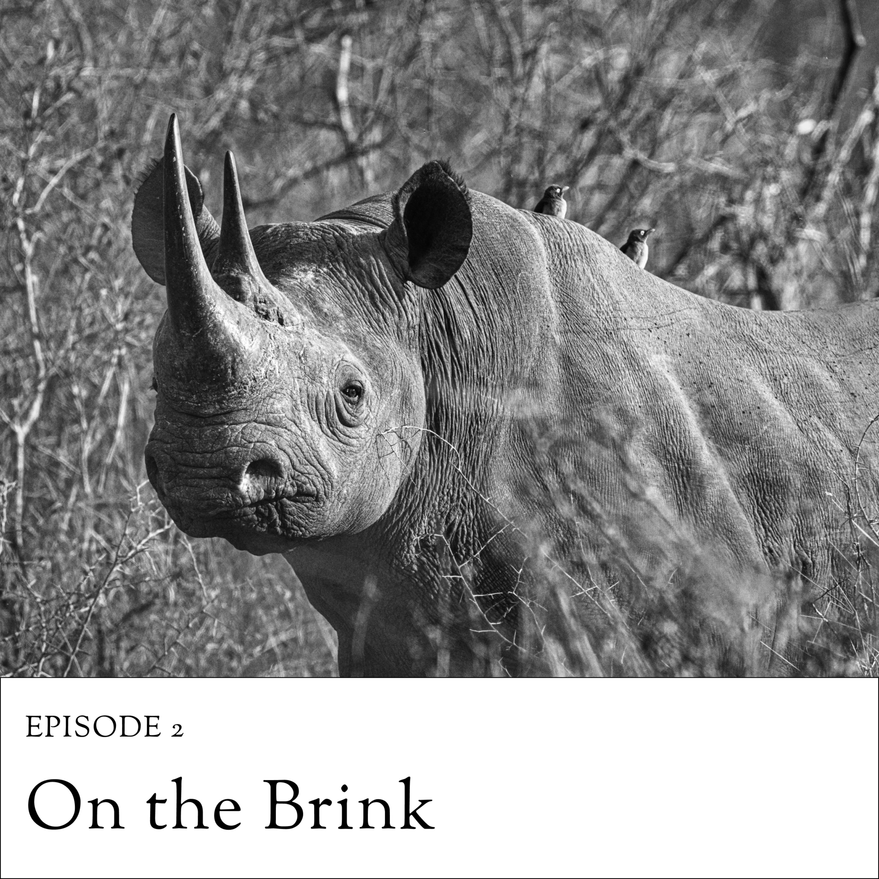2. On the Brink