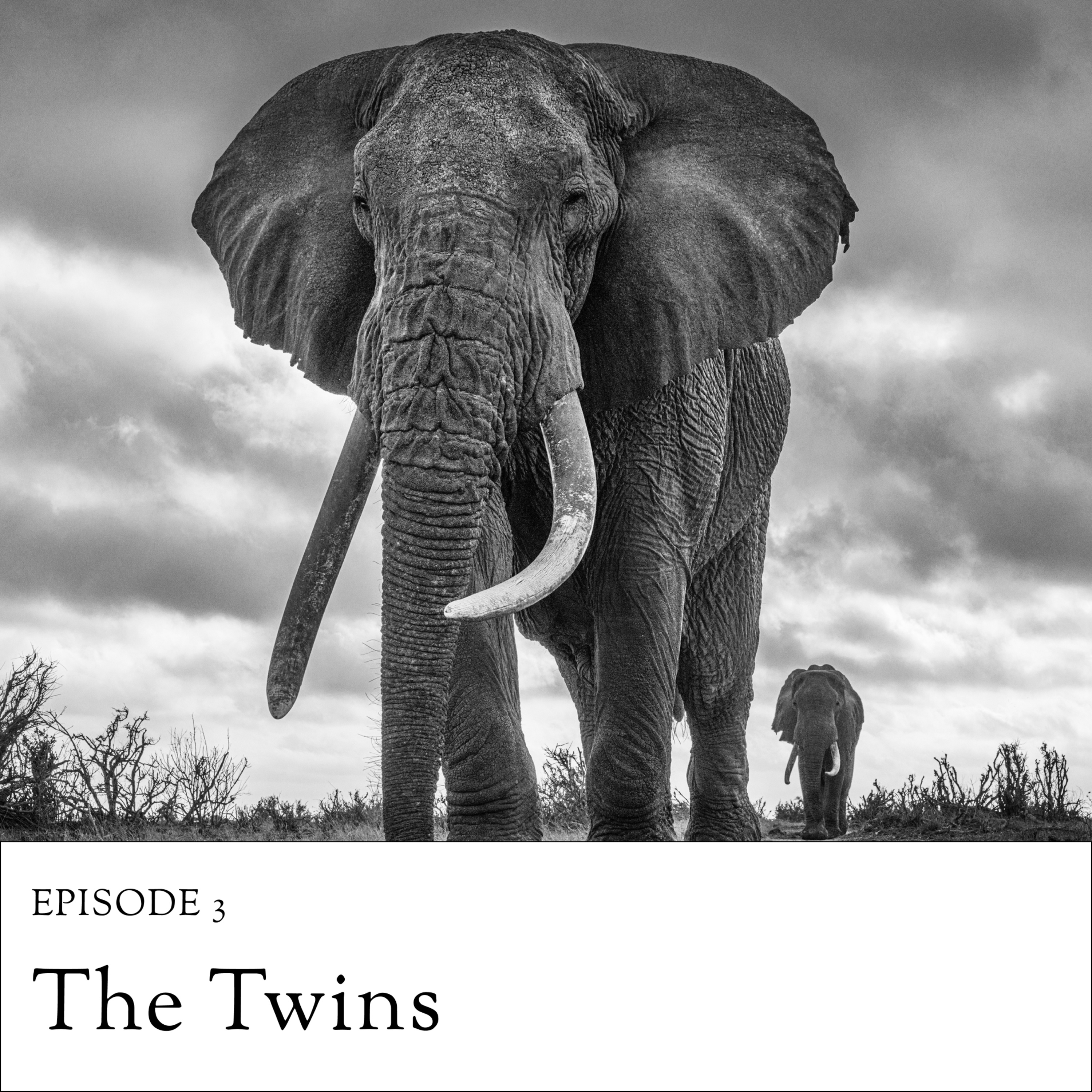3. The Twins