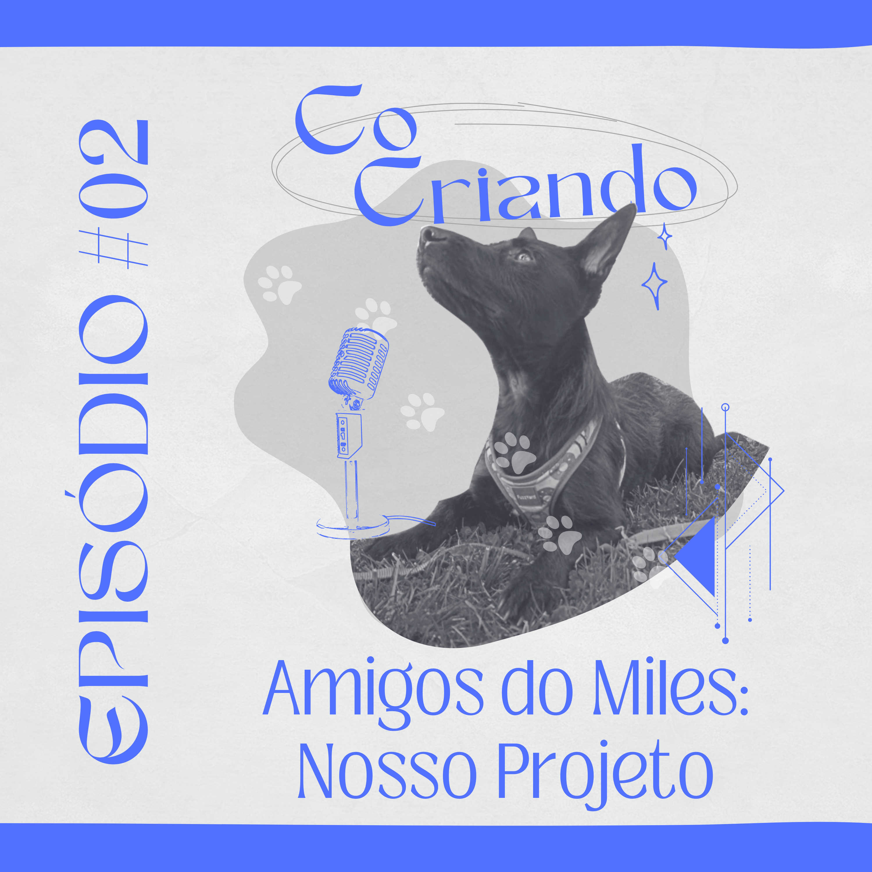Cocriando