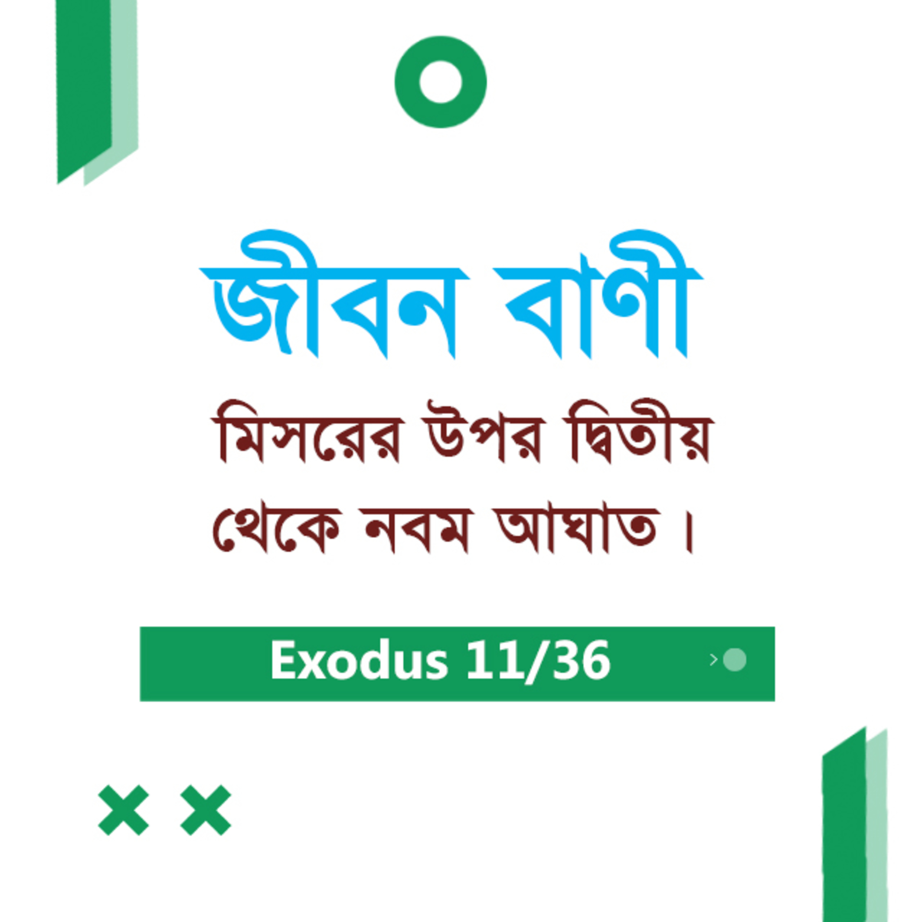 Bengali Bible Study 0114 Exodus 8 : 16 - 10 : 1 - 12 যাত্রাপুস্তক ৮:১৬-১০:১-১২ TWR India Jeeban Bani episode artwork