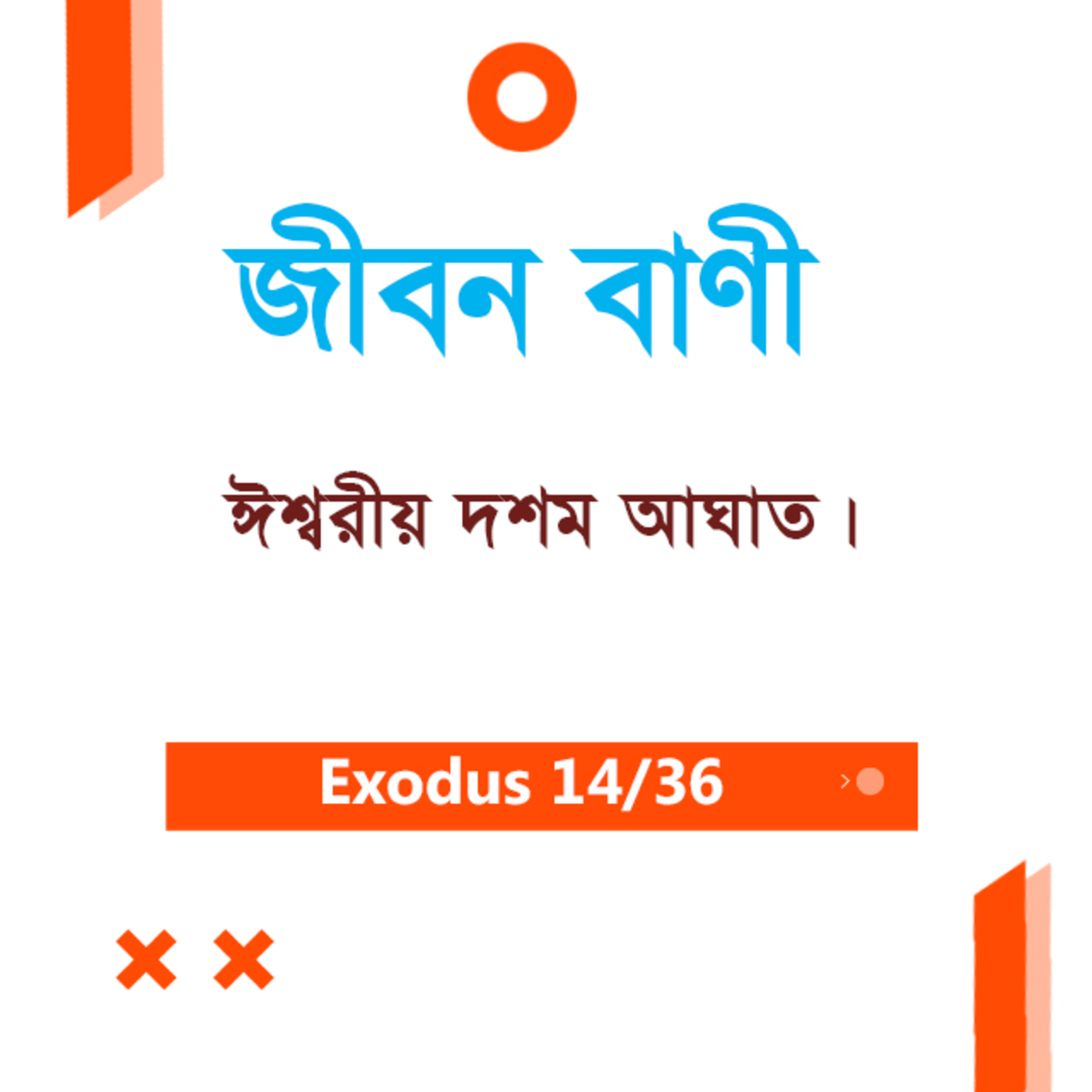 Bengali Bible Study 0117 Exodus 12 : 13 - 38 যাত্রাপুস্তক ১২:১৩-৩৮ TWR India Jeeban Bani episode artwork