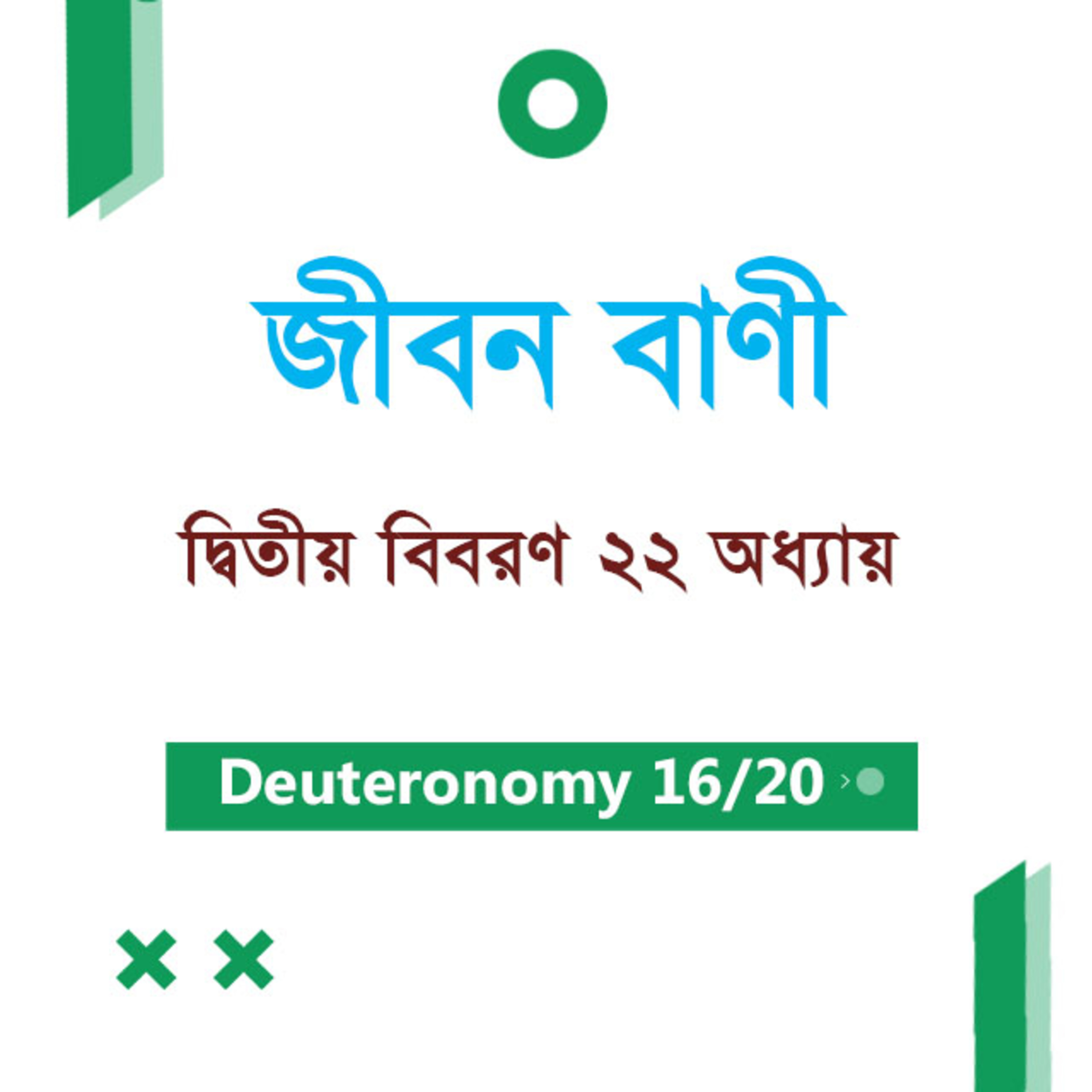 Bengali Bible Study 0292 Deuteronomy Ch 22 দ্বিতীয় বিবরণ Ch 22 TWR India Jeeban Bani episode artwork
