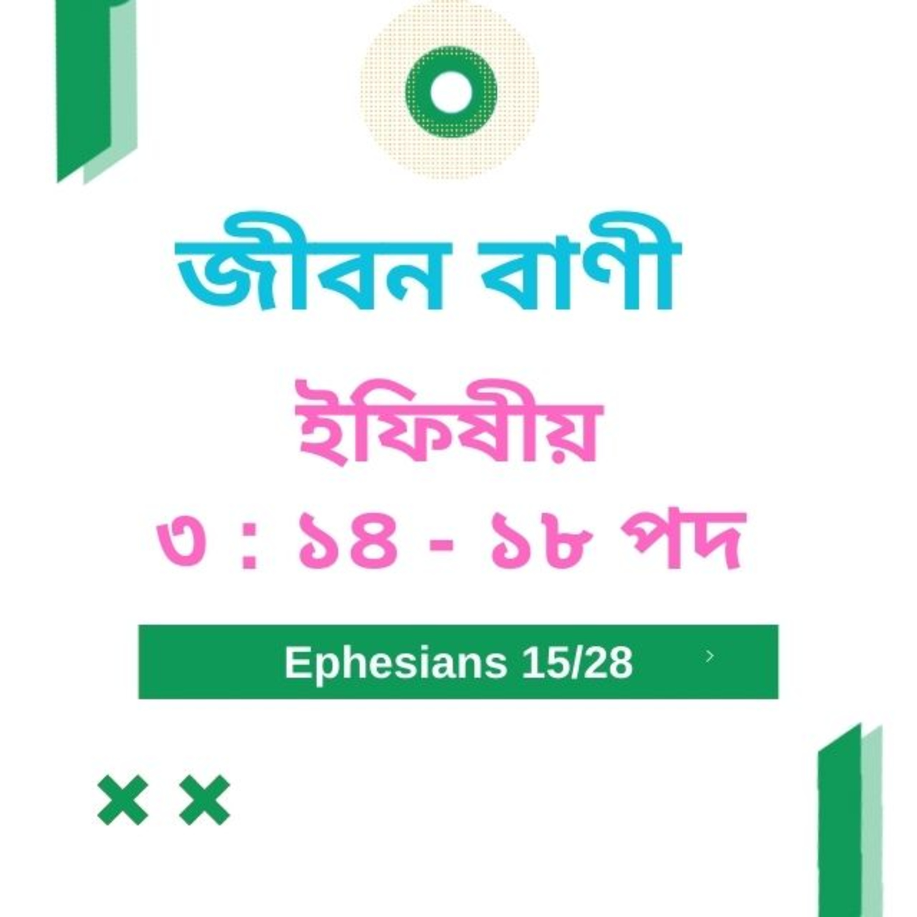 Bengali Bible Study 0670 ইফিষীয় ৩ :১৪ - ১৮ Word Resounds Today Jeeban Bani For Thru The Bible episode artwork