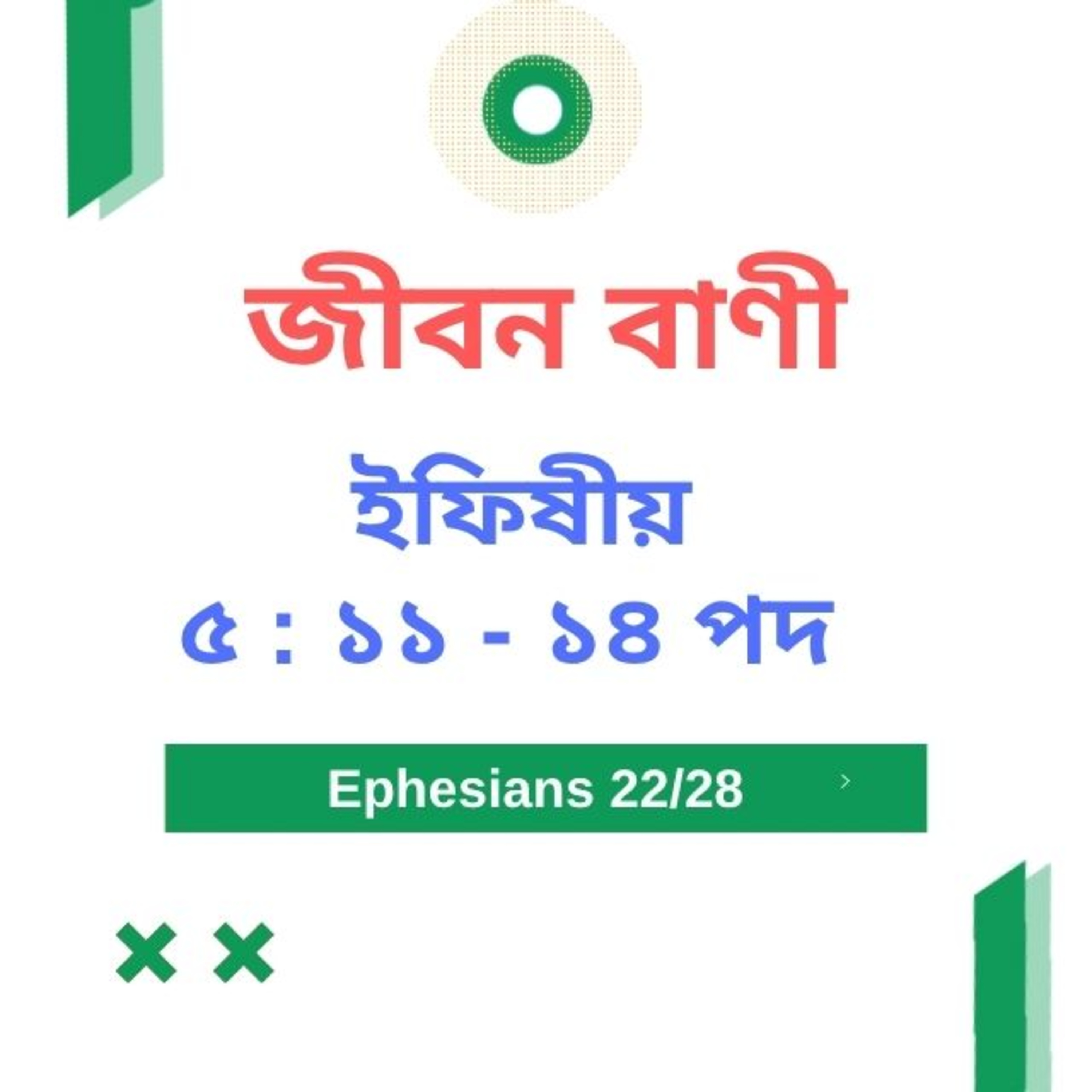 Bengali Bible Study 0678 ইফিষীয় ৫ : ১ ১ -  ১ ৪ পদ  Word Resounds Today Jeeban Bani For Thru The Bible episode artwork