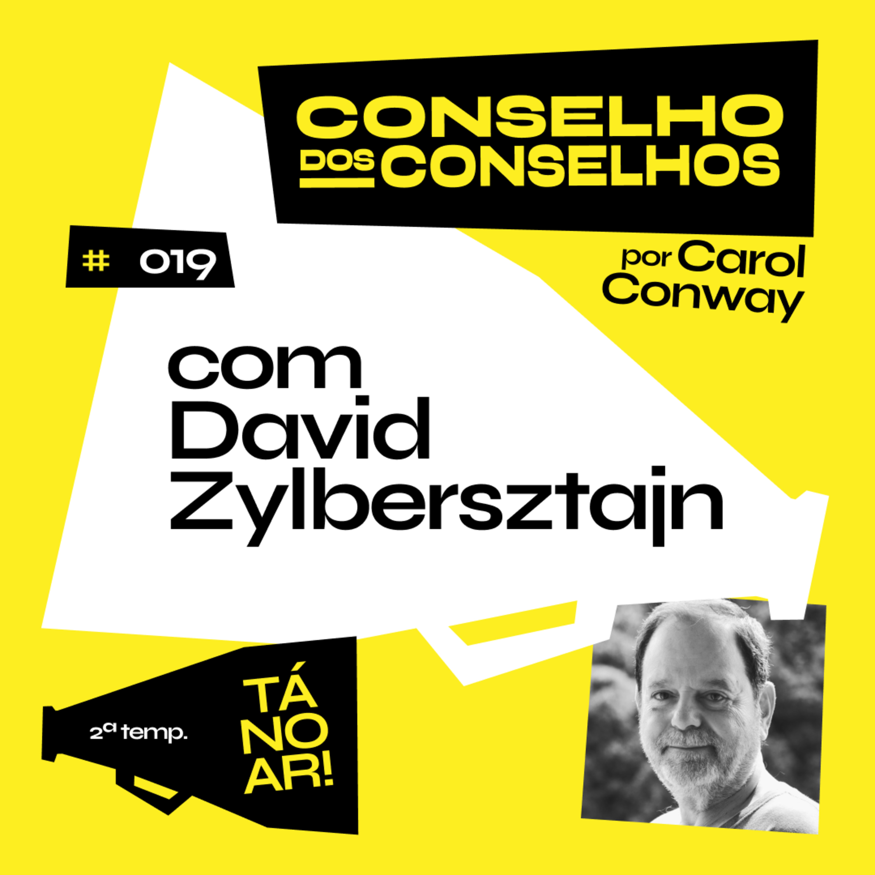 Conselho dos Conselhos