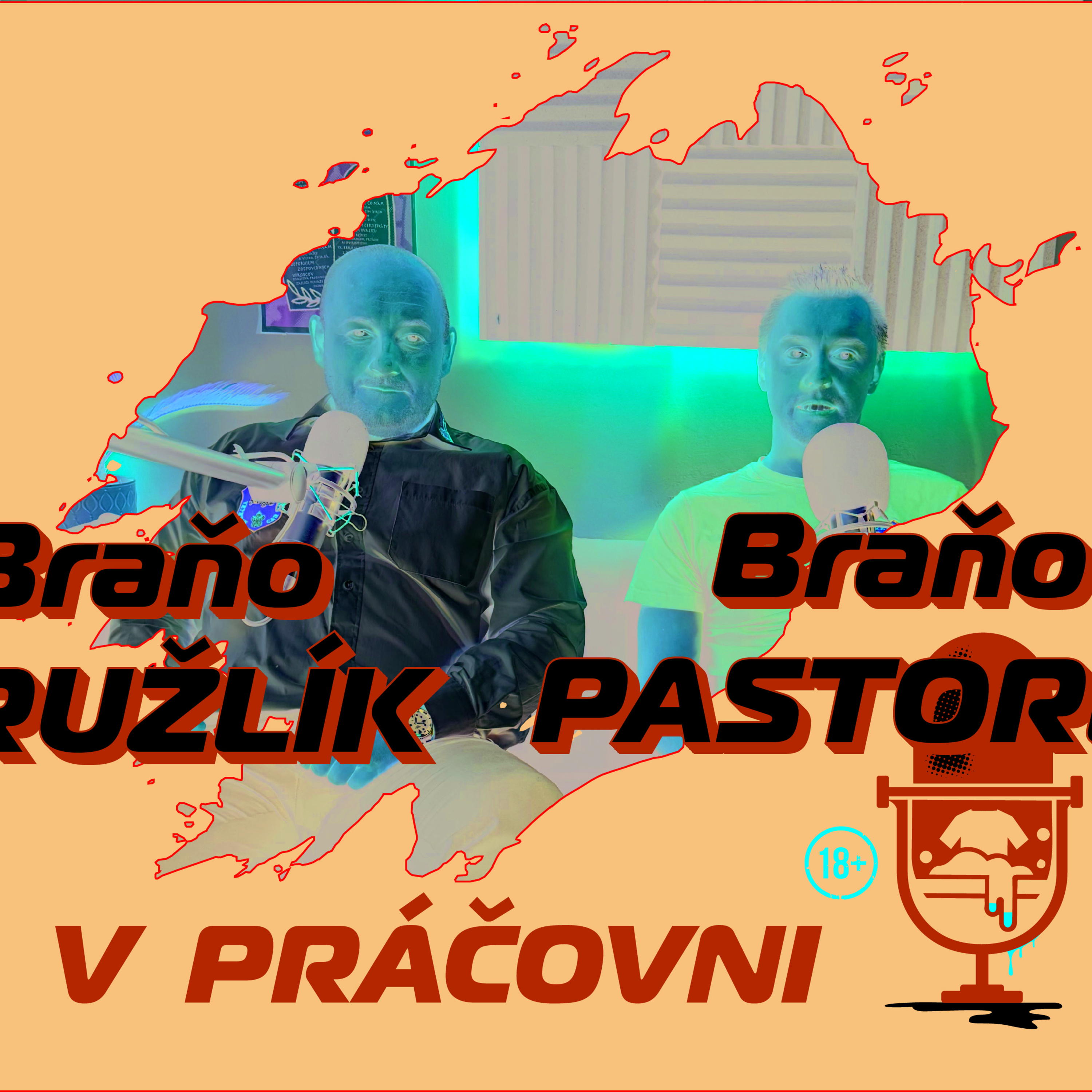 V PRÁČOVNI