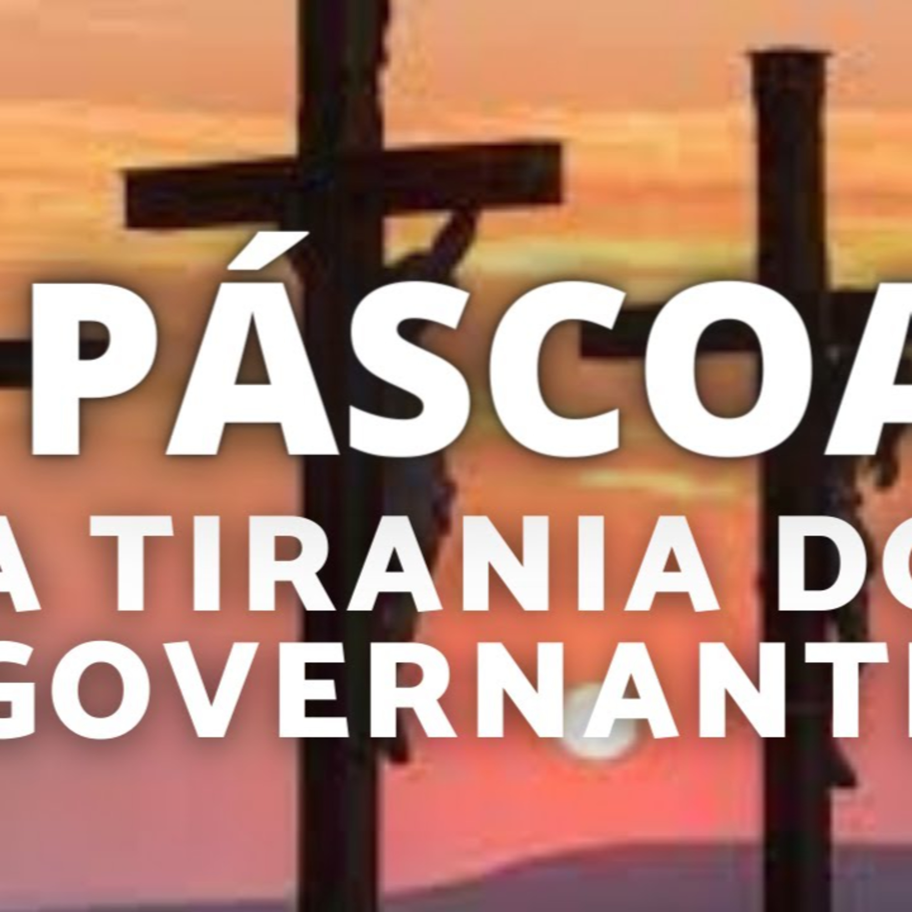 Bitcoin e Liberdade Talks