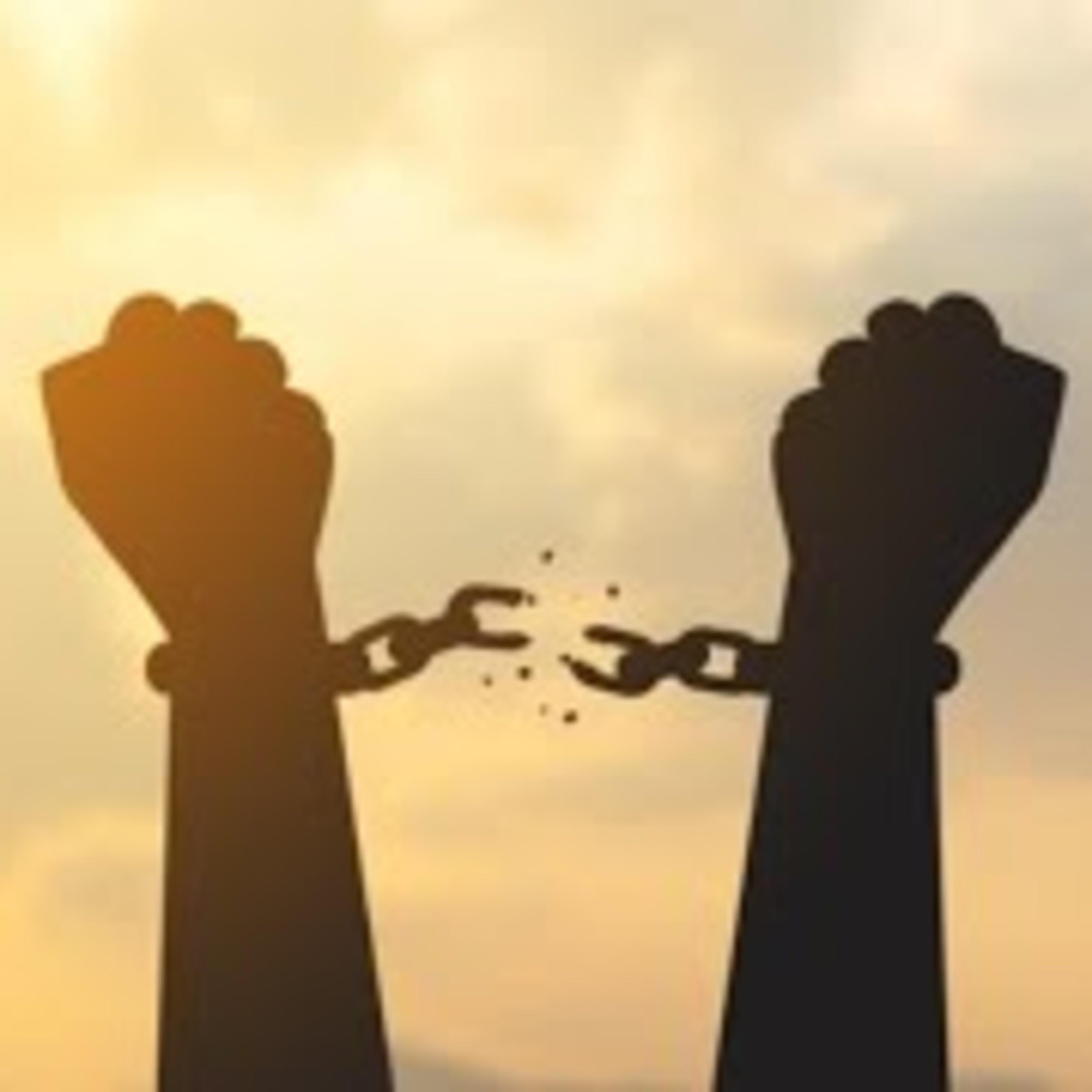 Bitcoin e Liberdade Talks