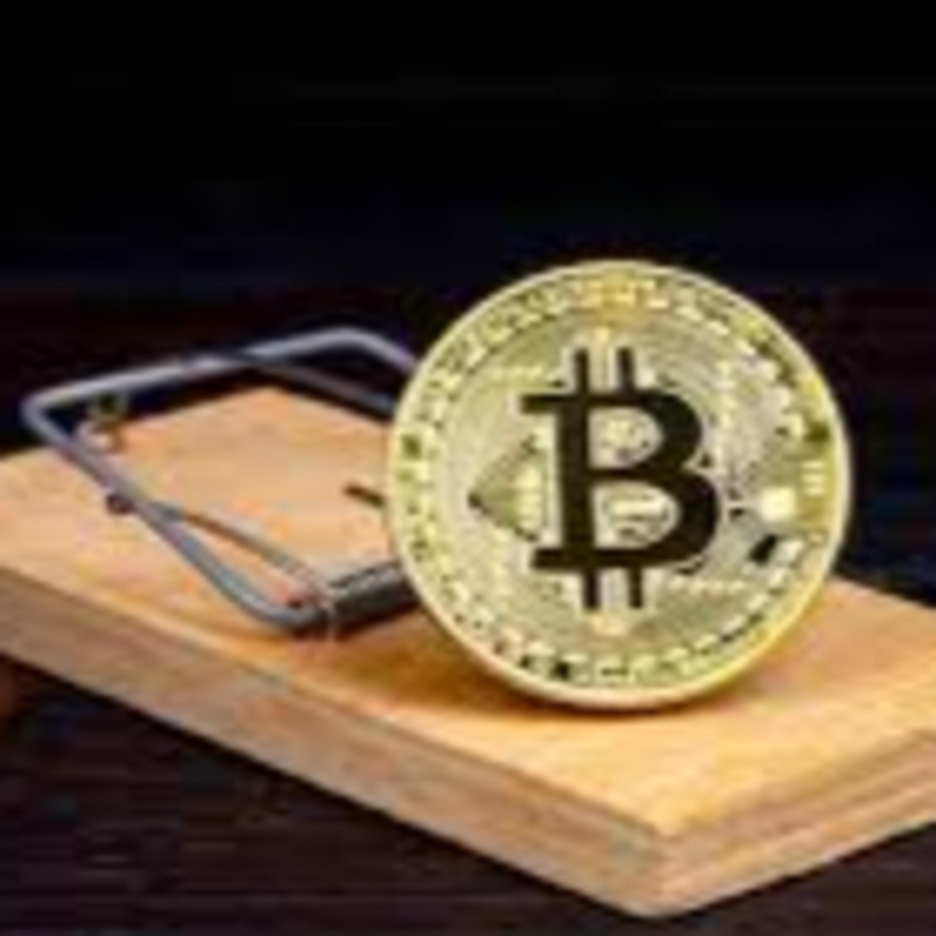 Bitcoin e Liberdade Talks