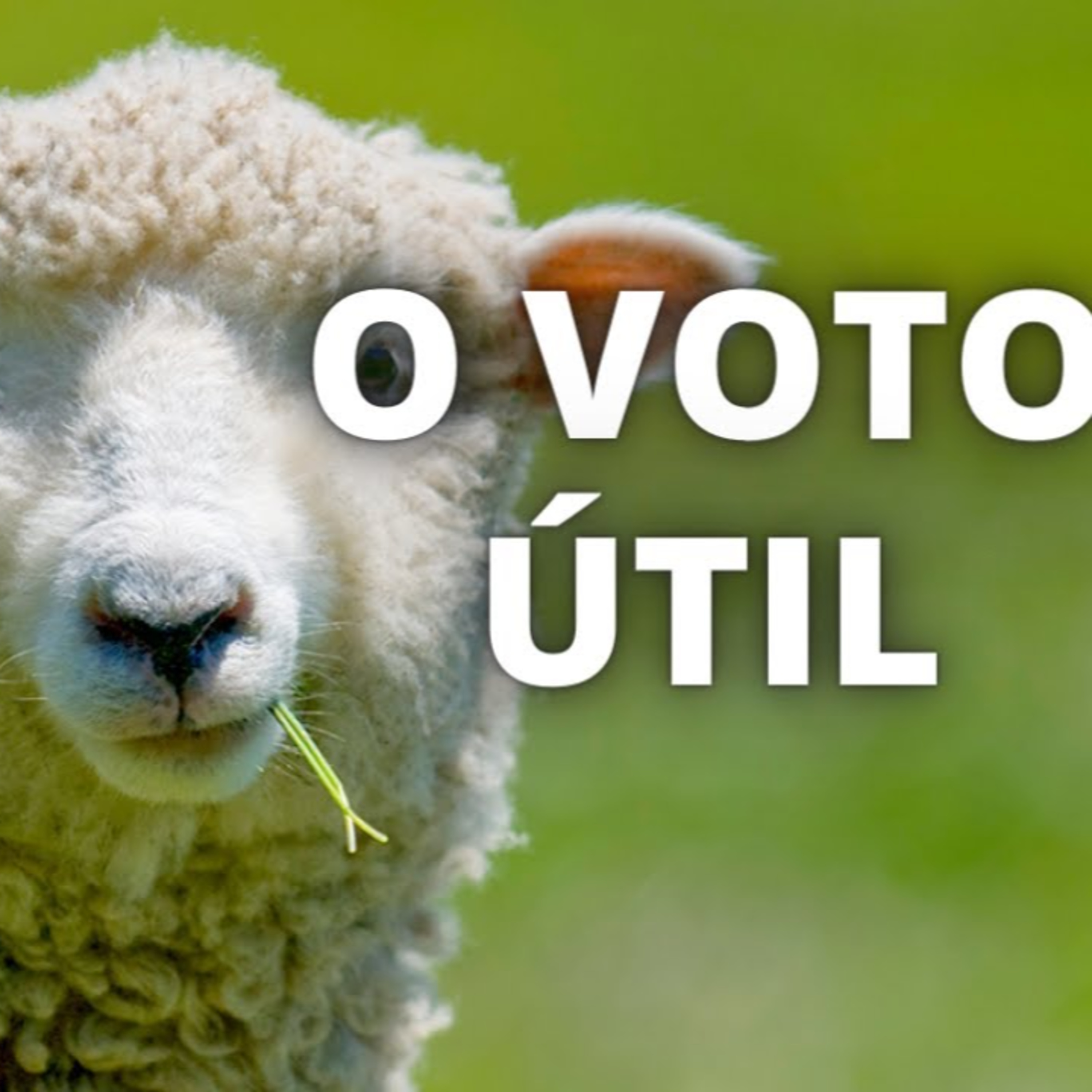 Bitcoin e Liberdade Talks