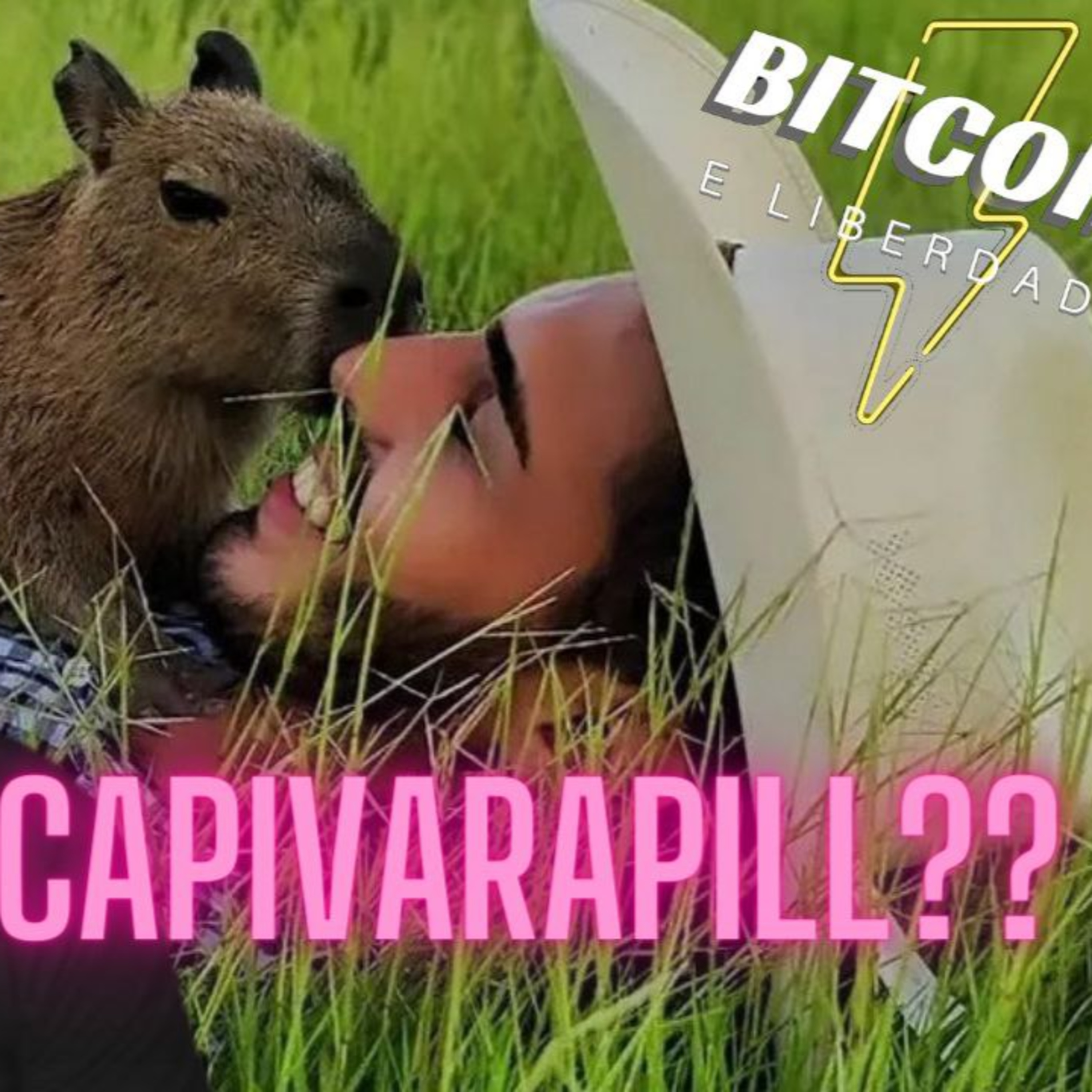 Bitcoin e Liberdade Talks