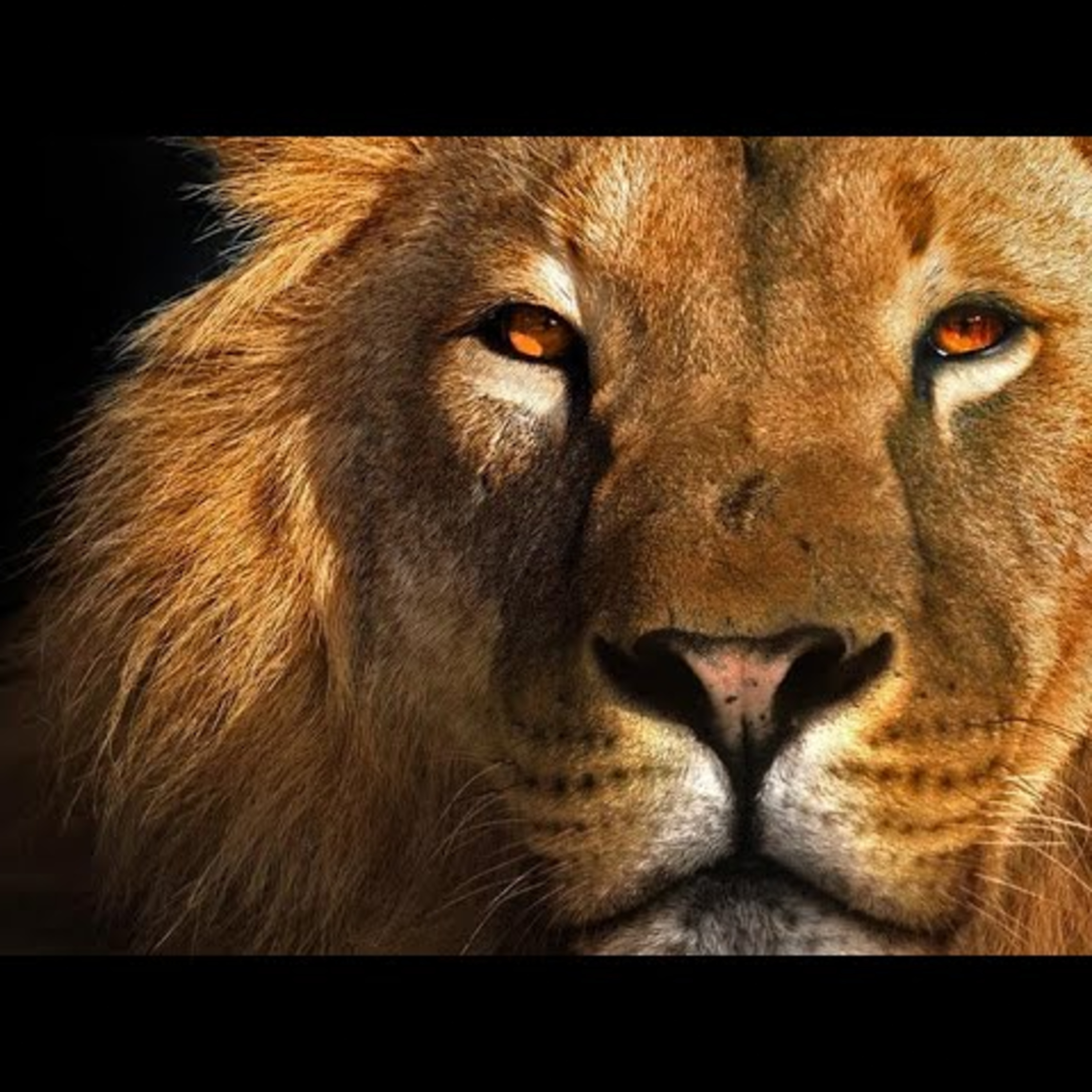 Bitcoin e Liberdade Talks