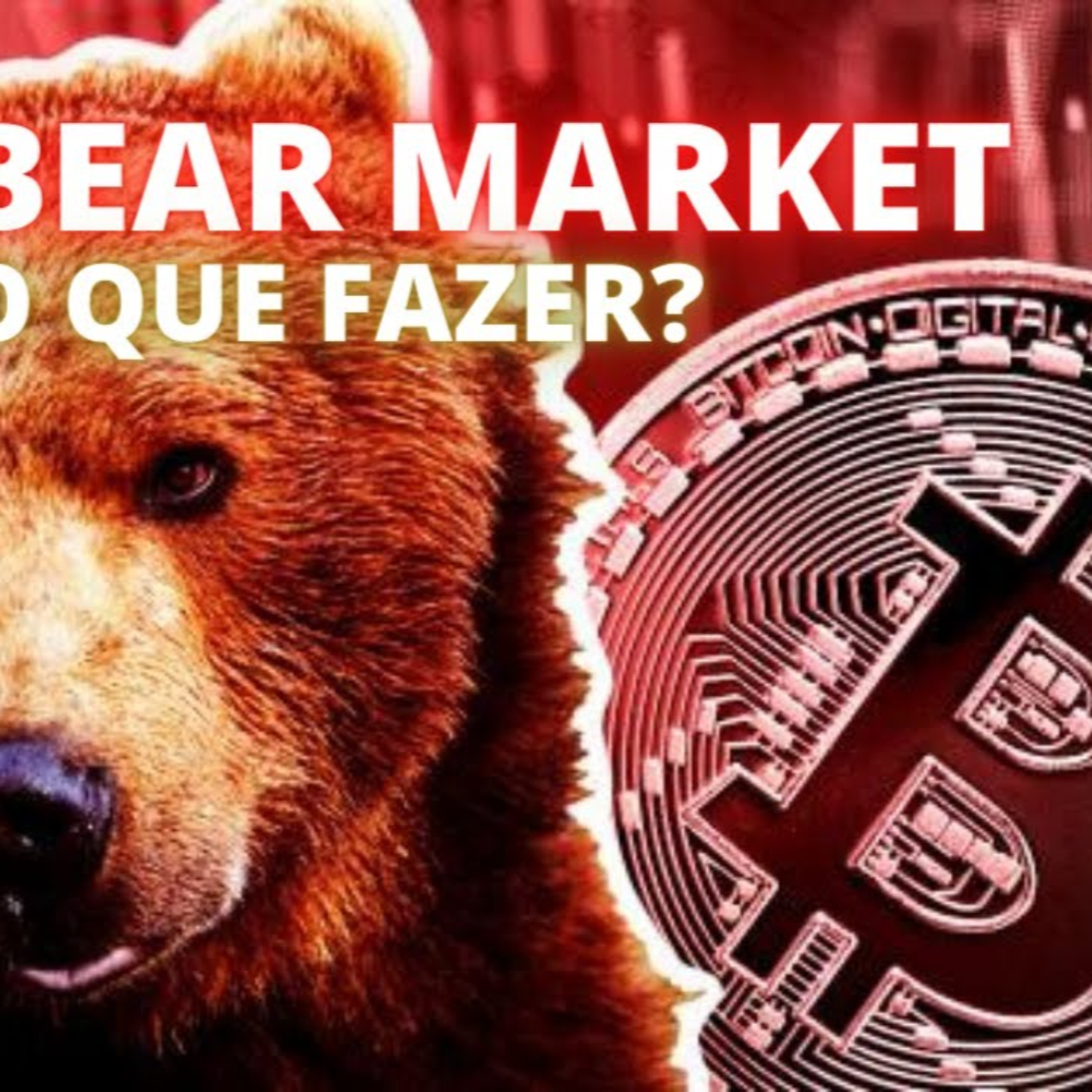 Bitcoin e Liberdade Talks