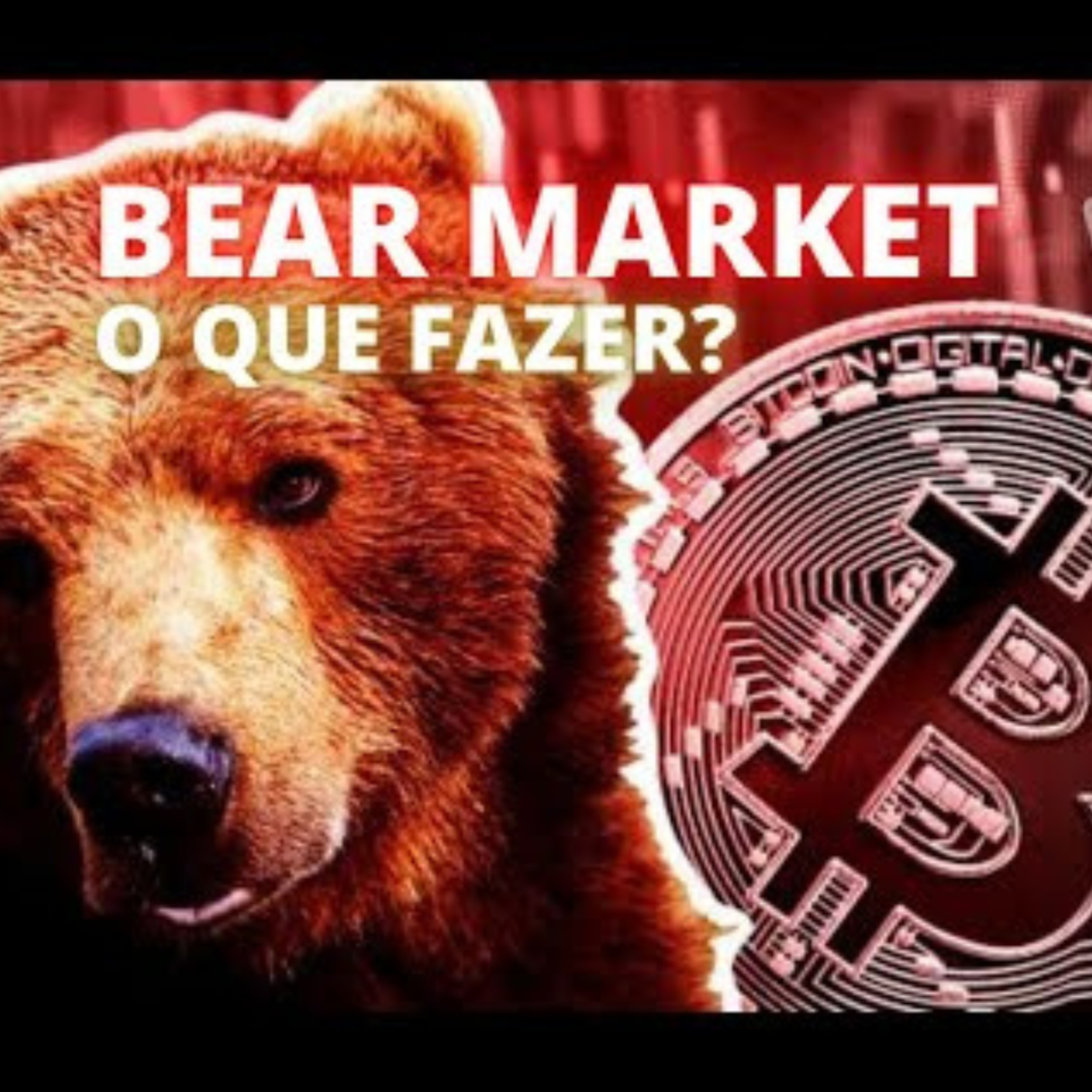 Bitcoin e Liberdade Talks