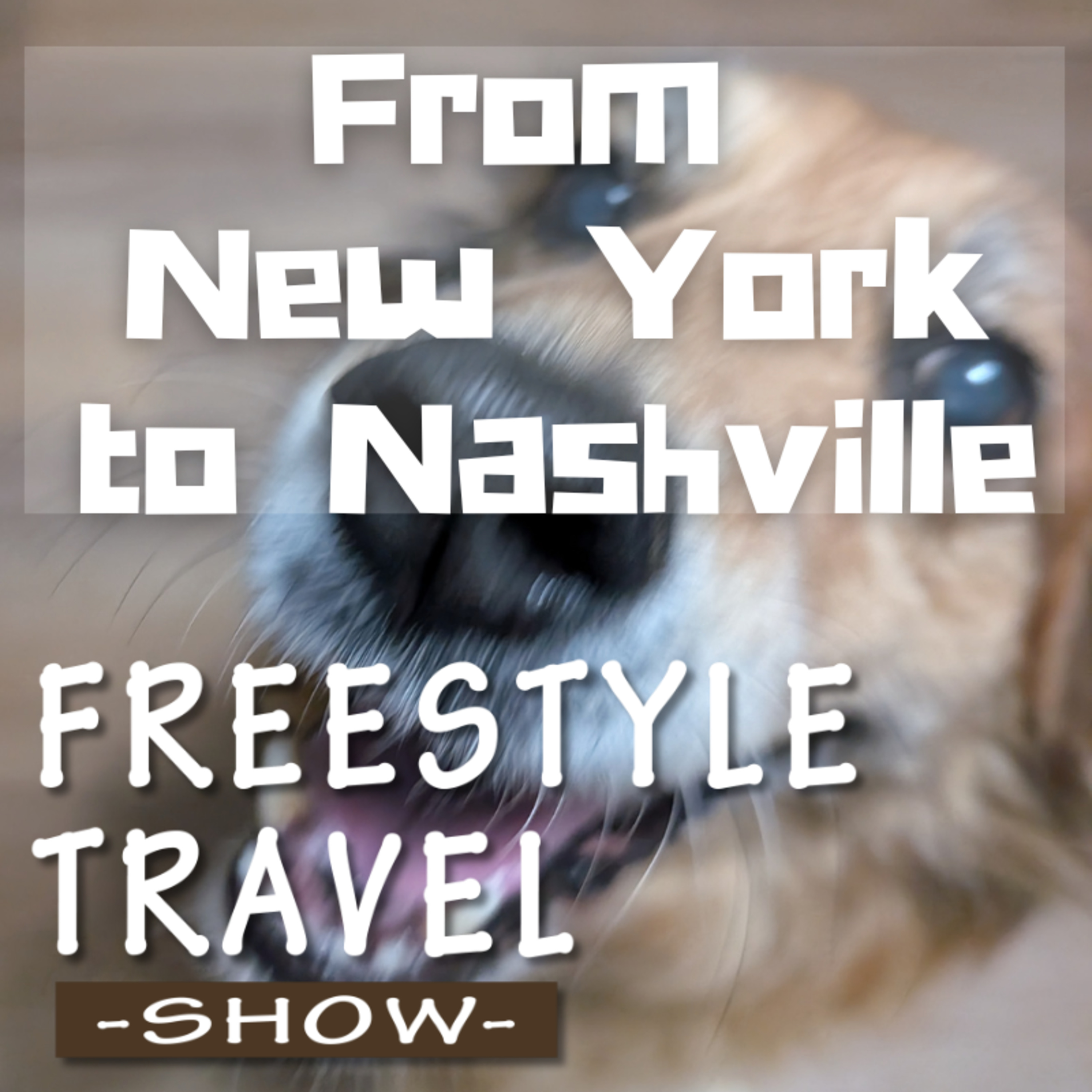 #122 - From New York to Nashville