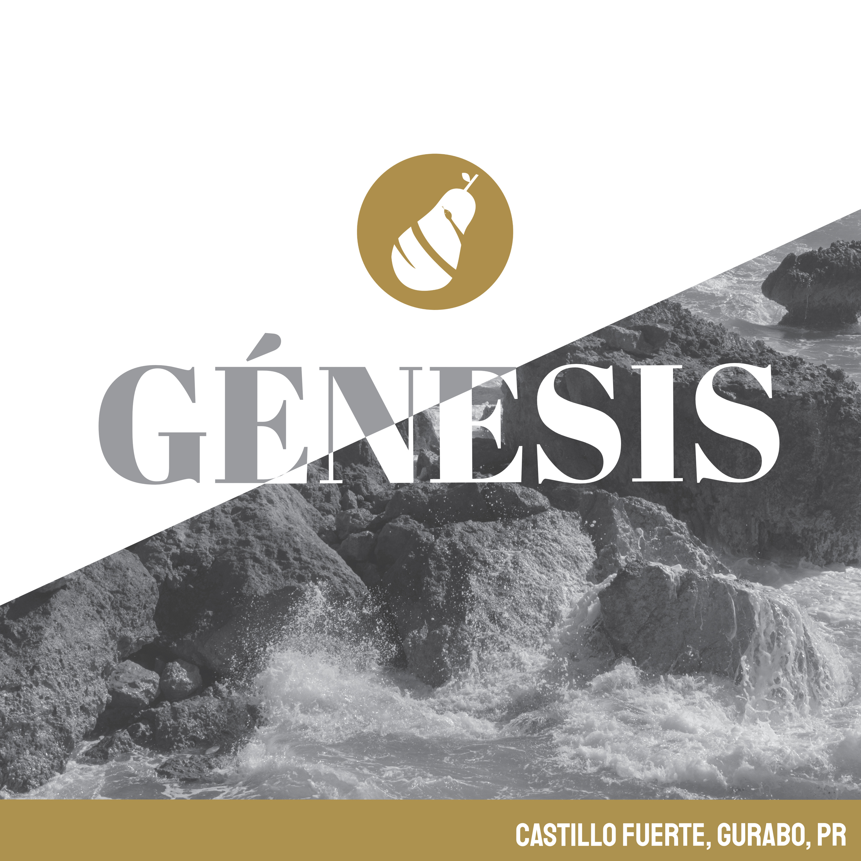 Portada de IB CASTILLO FUERTE