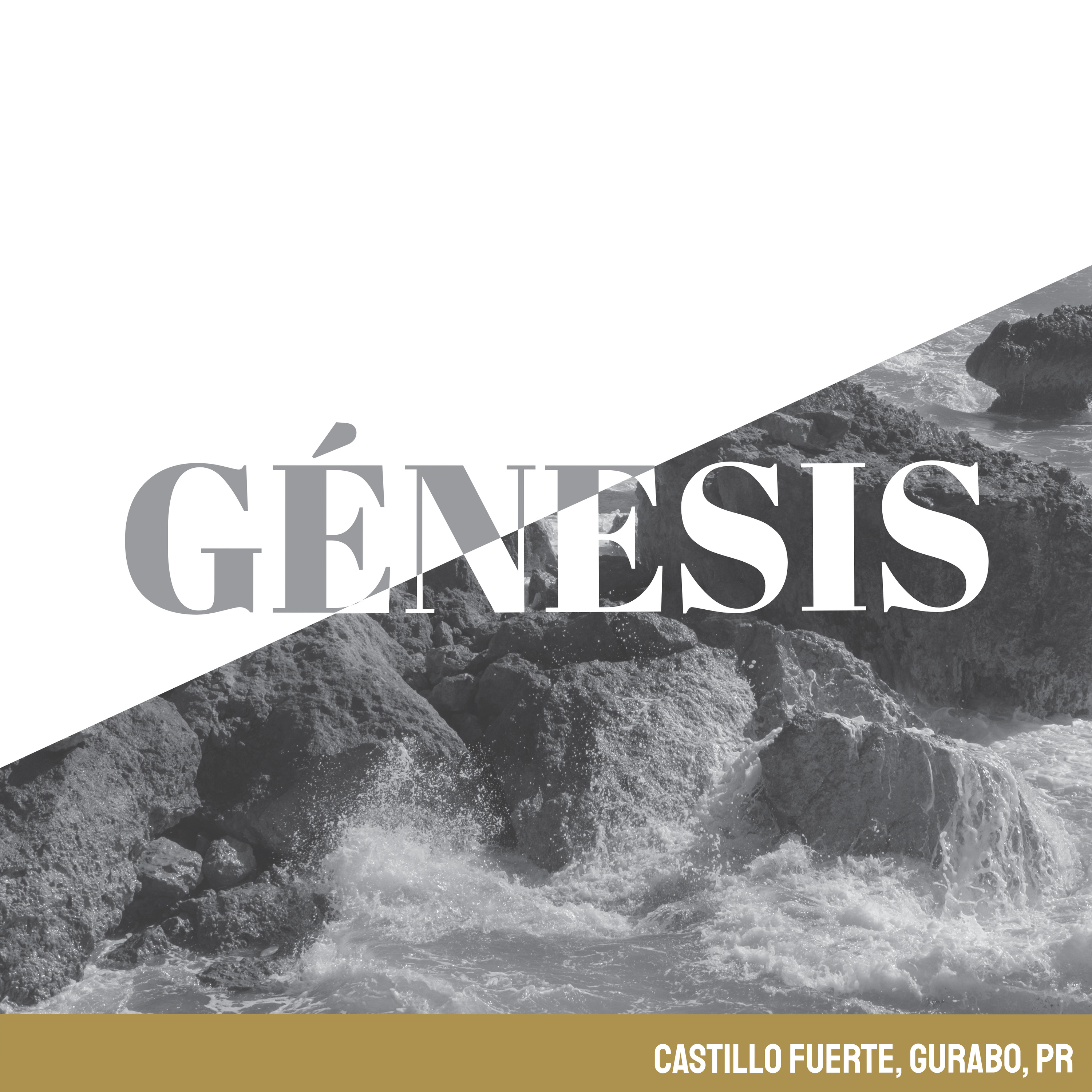 Genesis 34:1-31