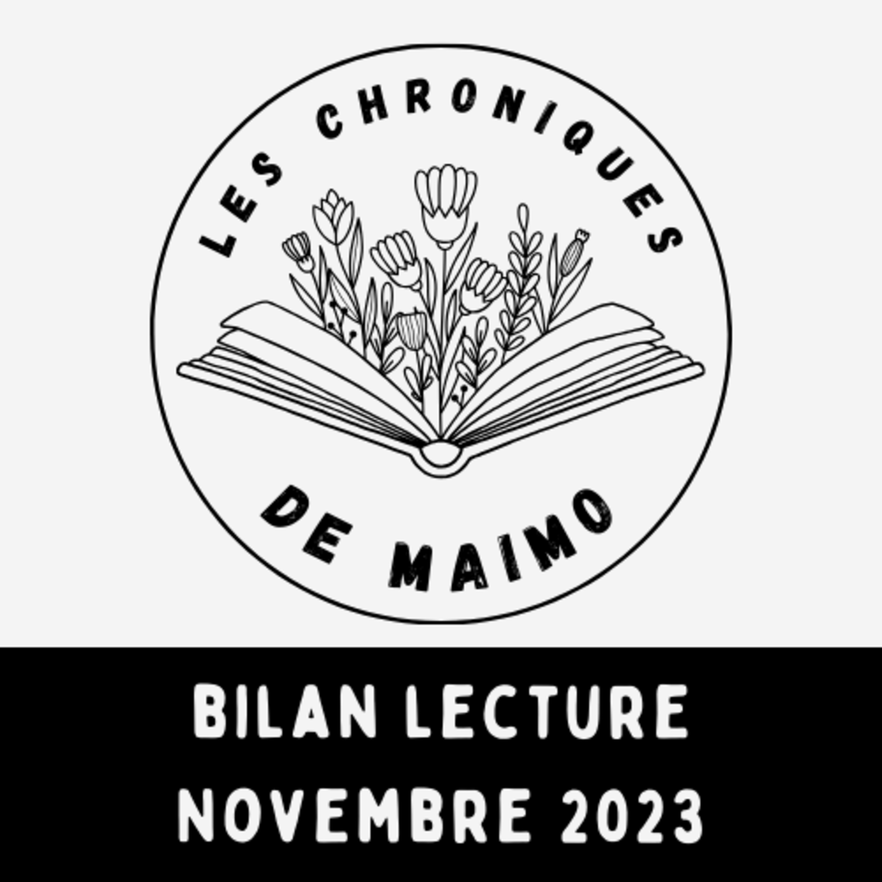 #5 - Bilan lecture de Novembre!  episode artwork