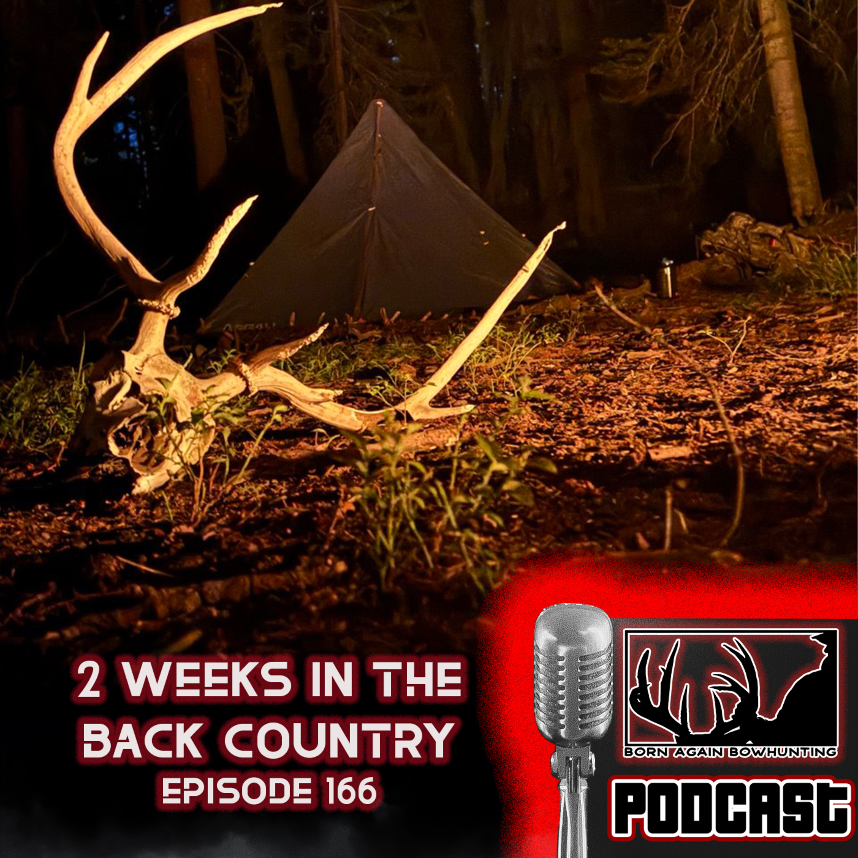 Born Again Bowhunting